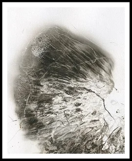 She Who Hesitates, mushroom spores on paper, 5 x 8 inches, 2015