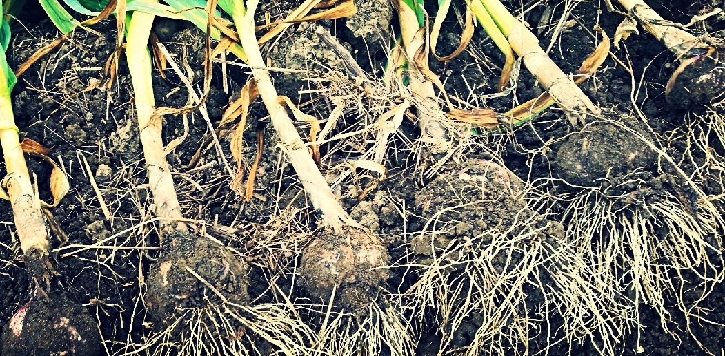 20160718_134050.jpg