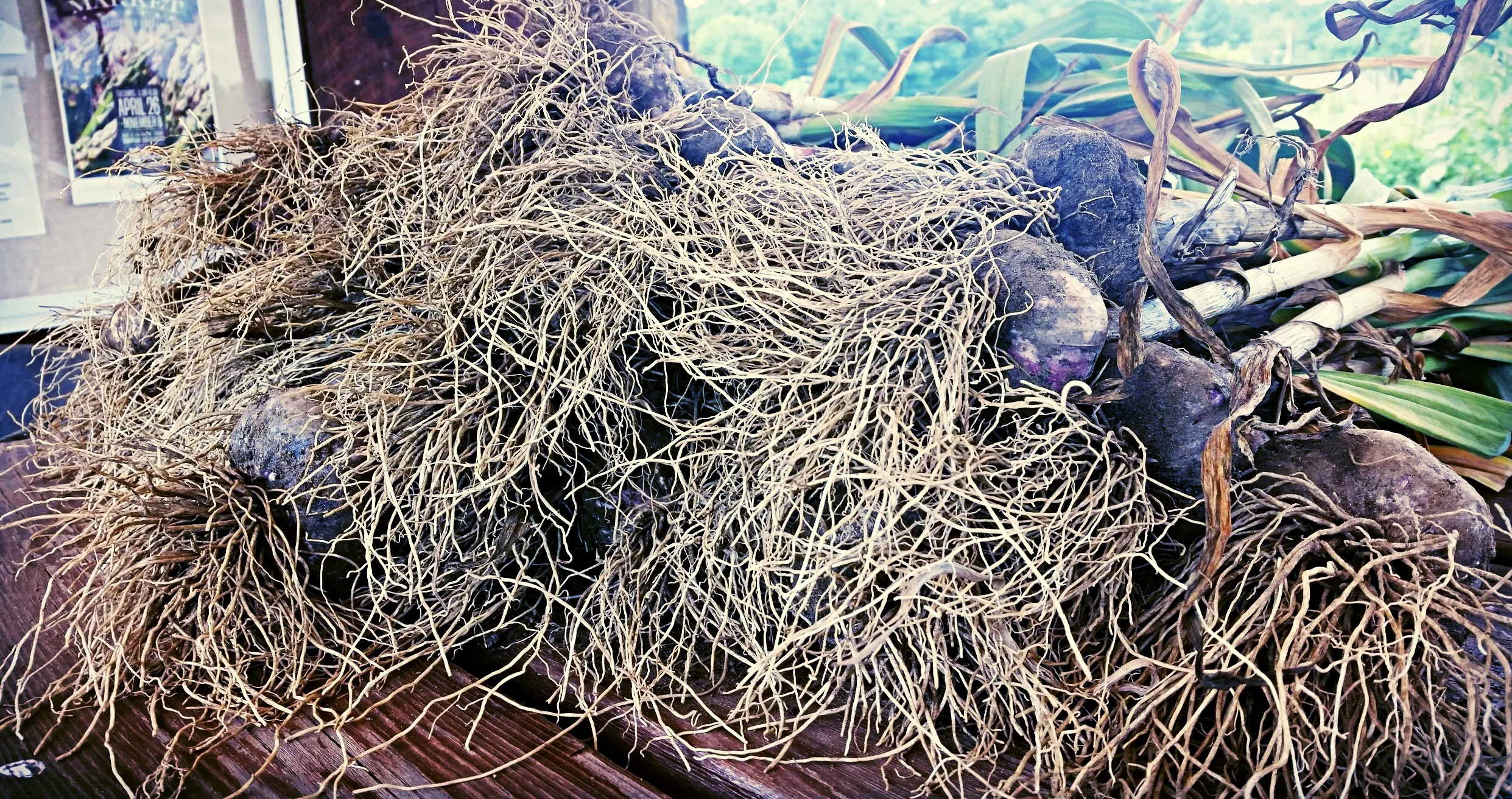 20160718_134312.jpg