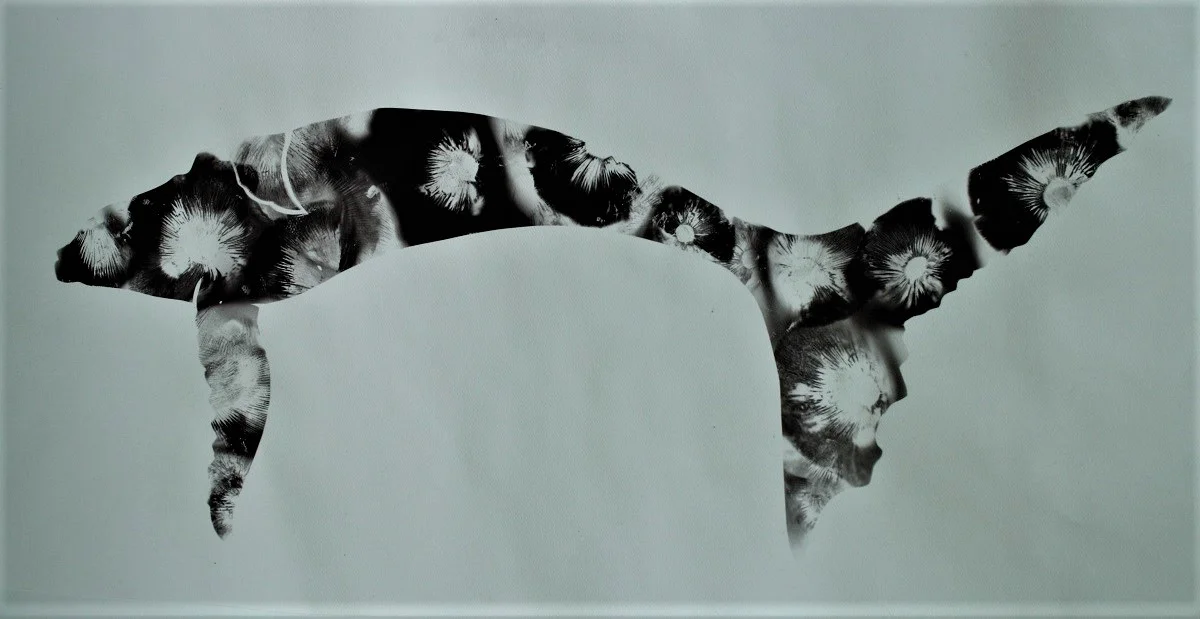 Listen Deeper, mushroom spores on paper, 11 x 22 inches, 2017