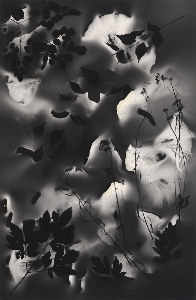 A Liberal Herbarium.jpg