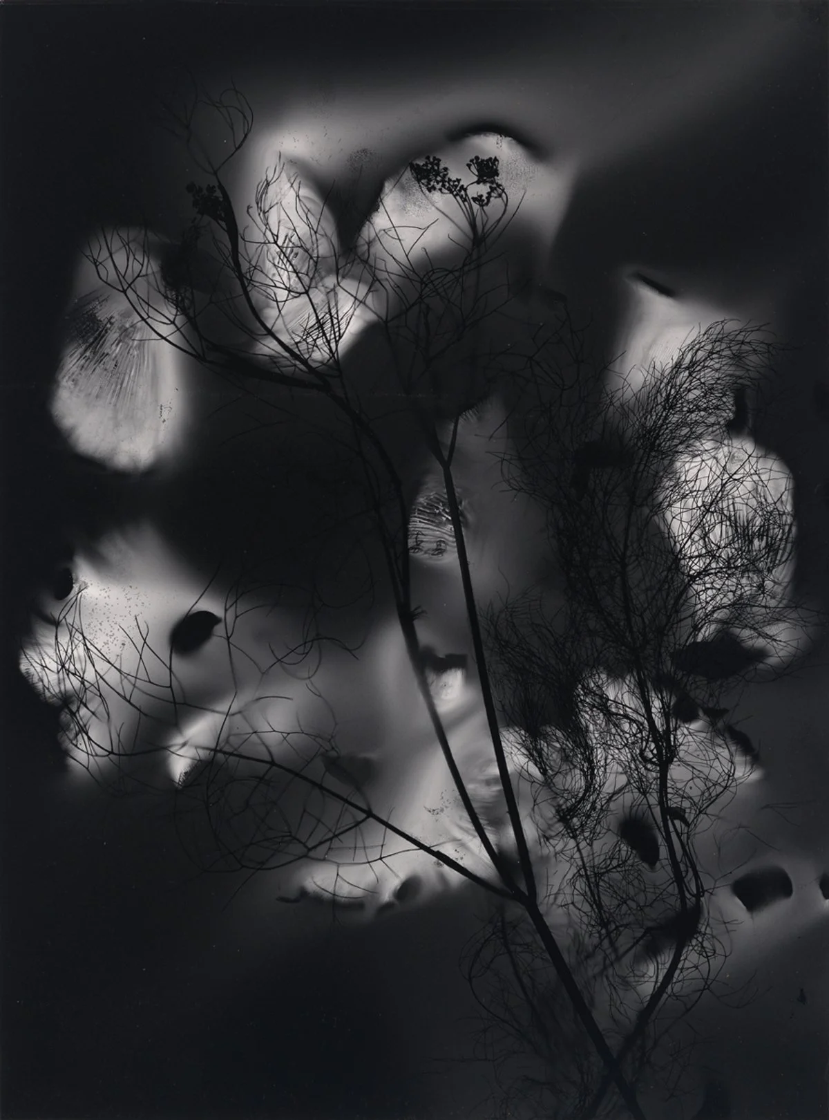 Candle, Show Me the Way