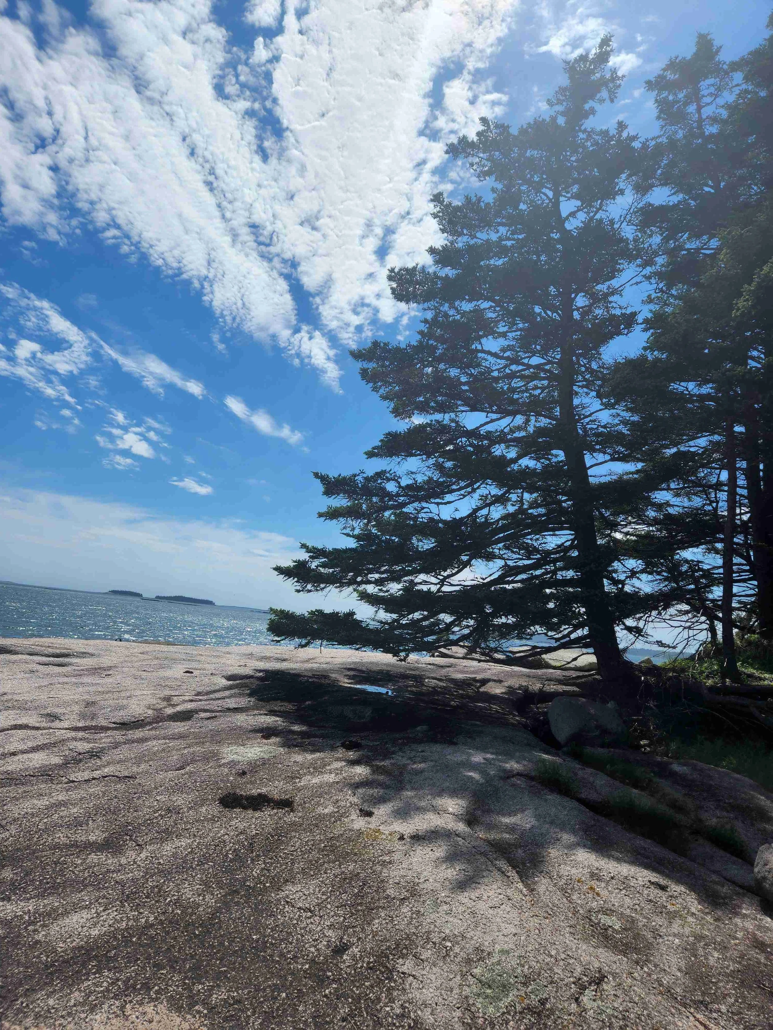 Norton Island rocks and sea1.jpeg