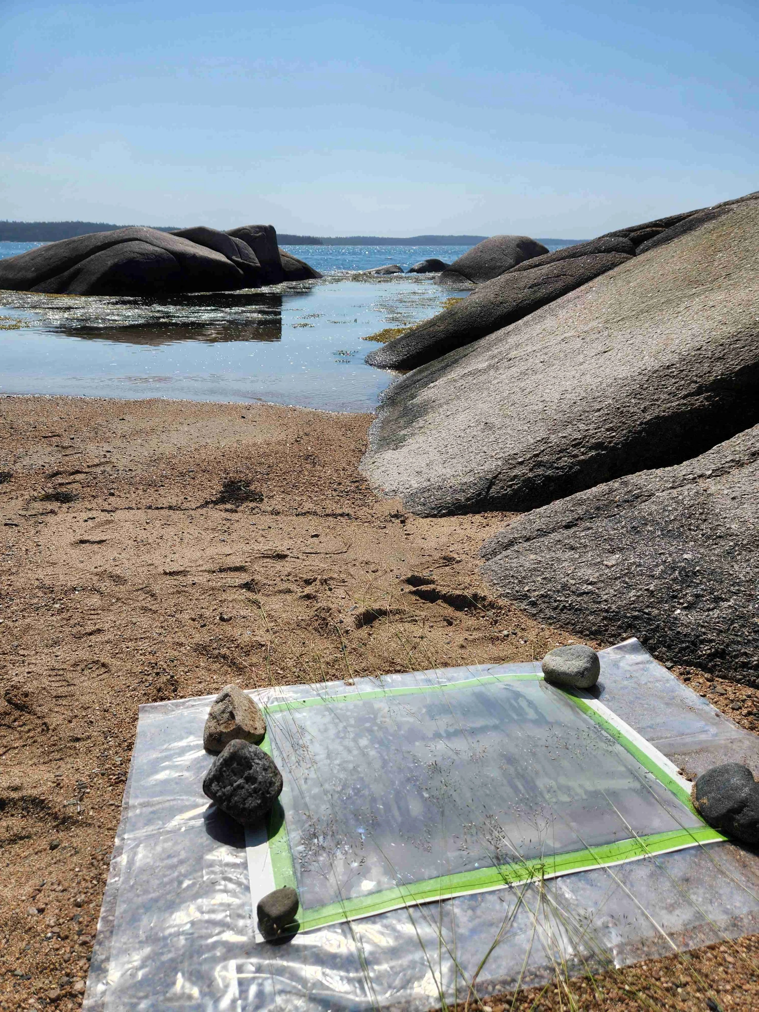 Norton Island process 1.Sylvie.jpeg