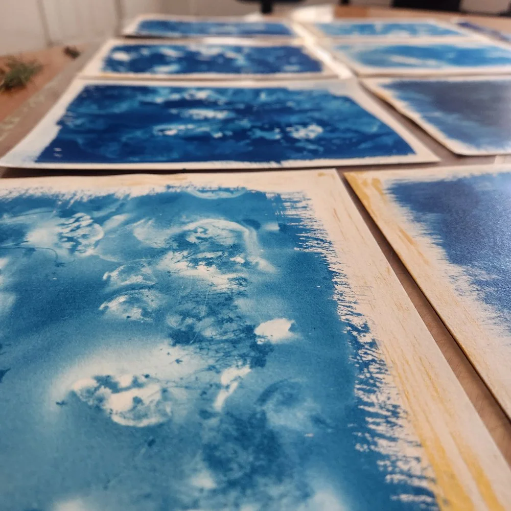 blue herbarium osgf.jpeg