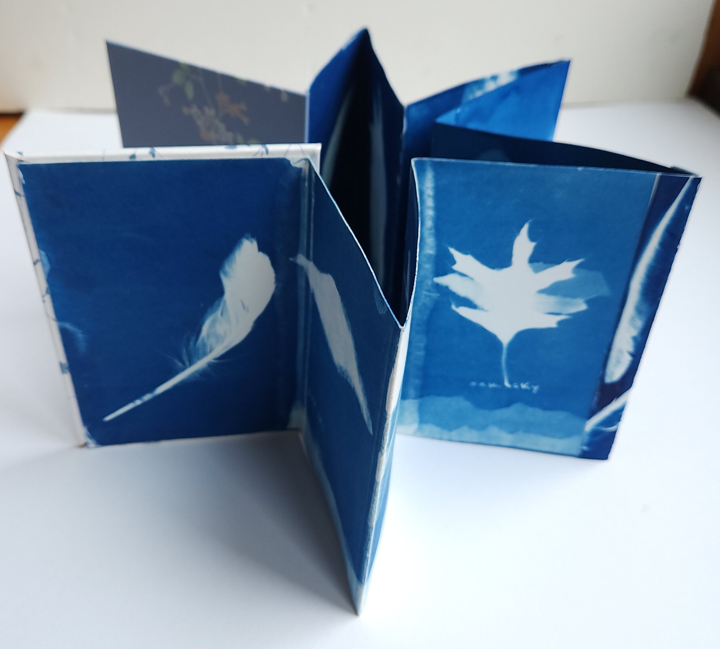Blue feather book prototype I.jpg