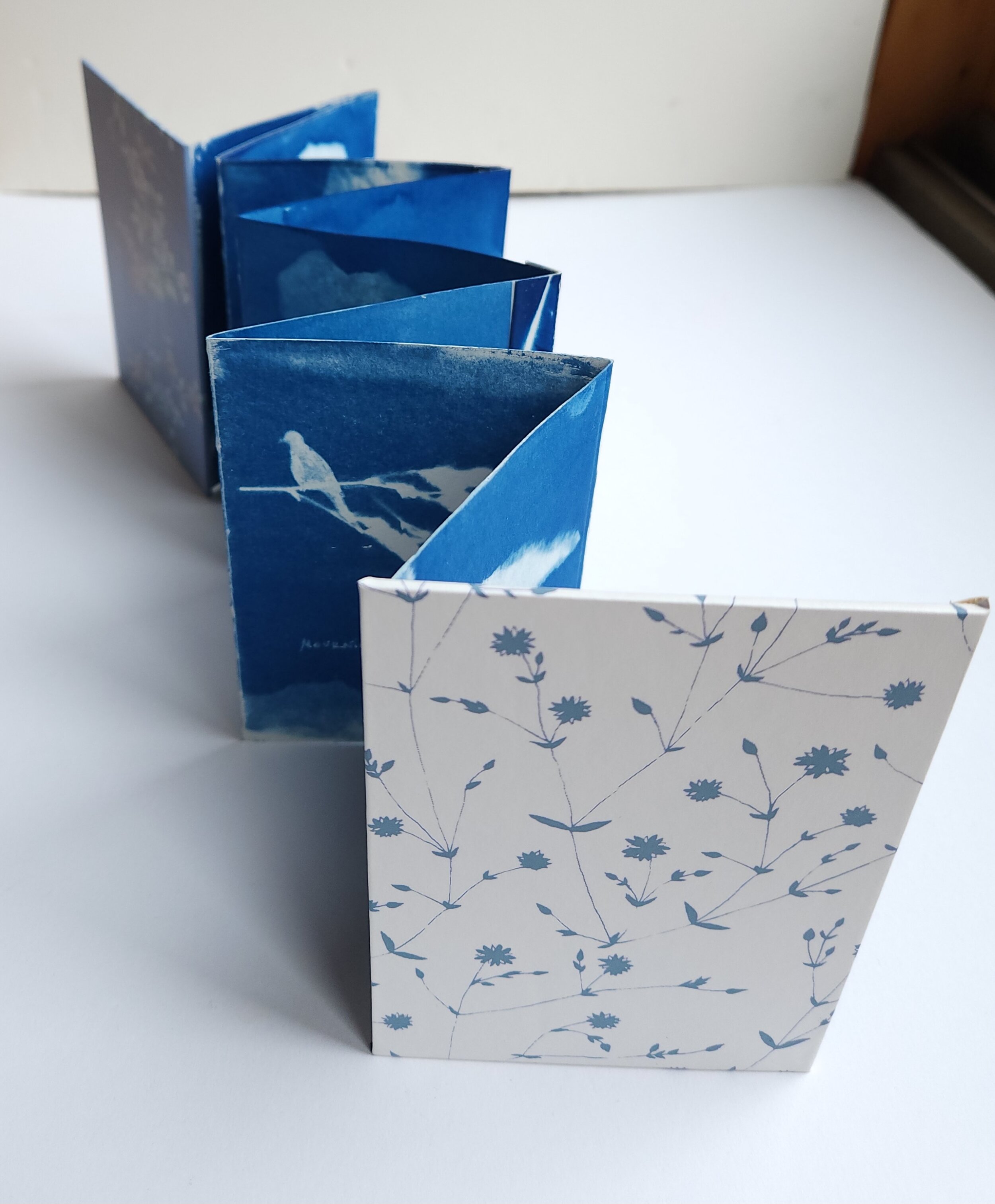 Blue Feather book prototype II.jpg