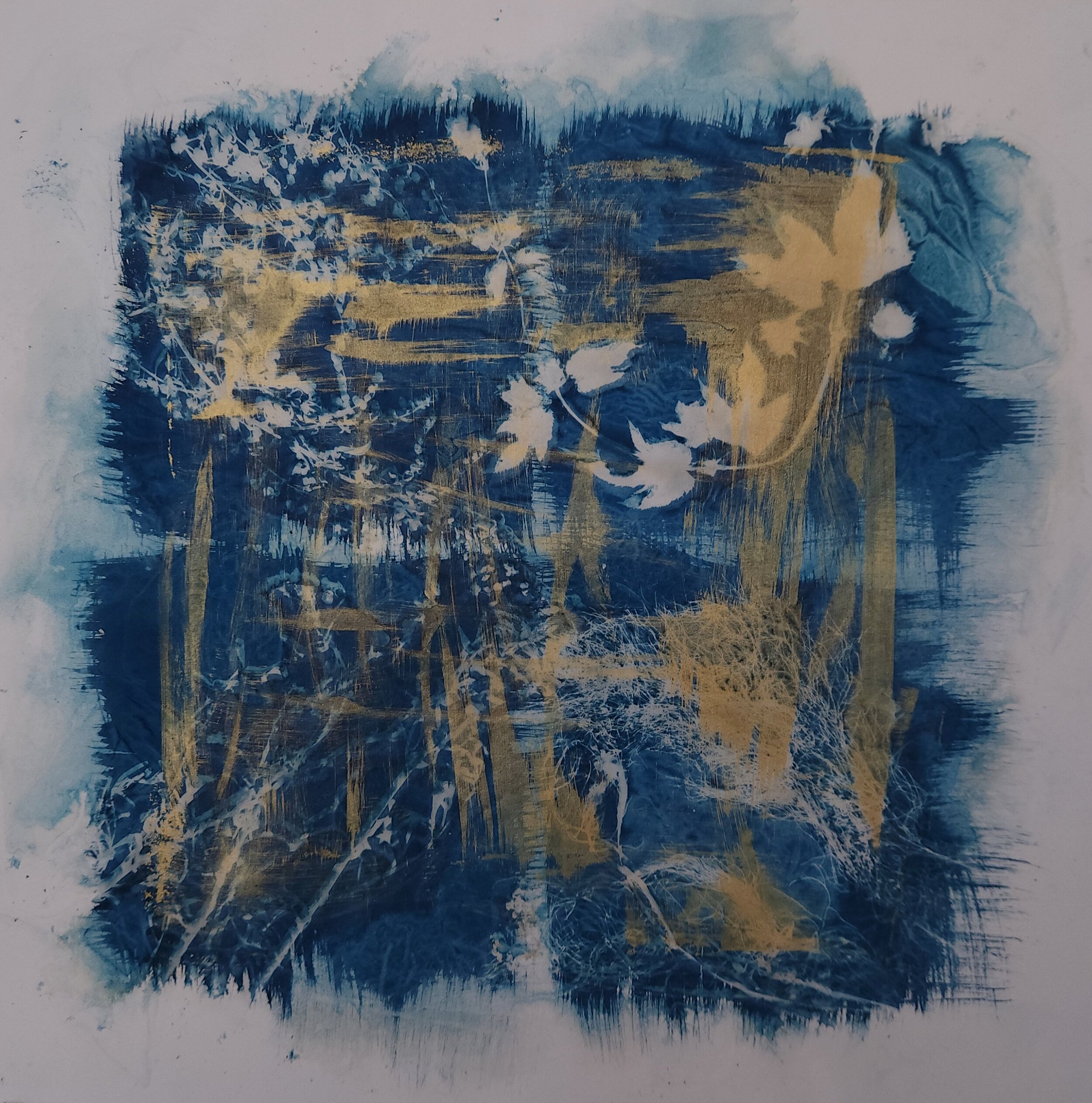 13.	Four Plants, One Garden cyanotype and gesso, 16 x 16 inches, 2022