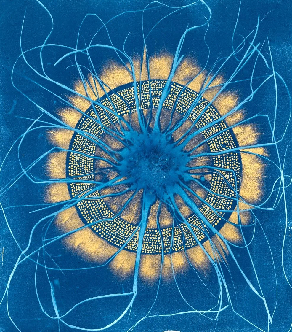 cyanotypes | altered / painted