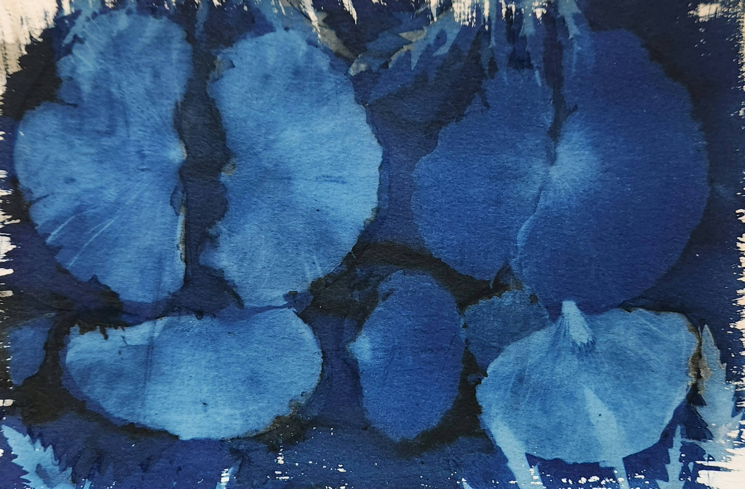 Beginning Botanical Cyanotypes