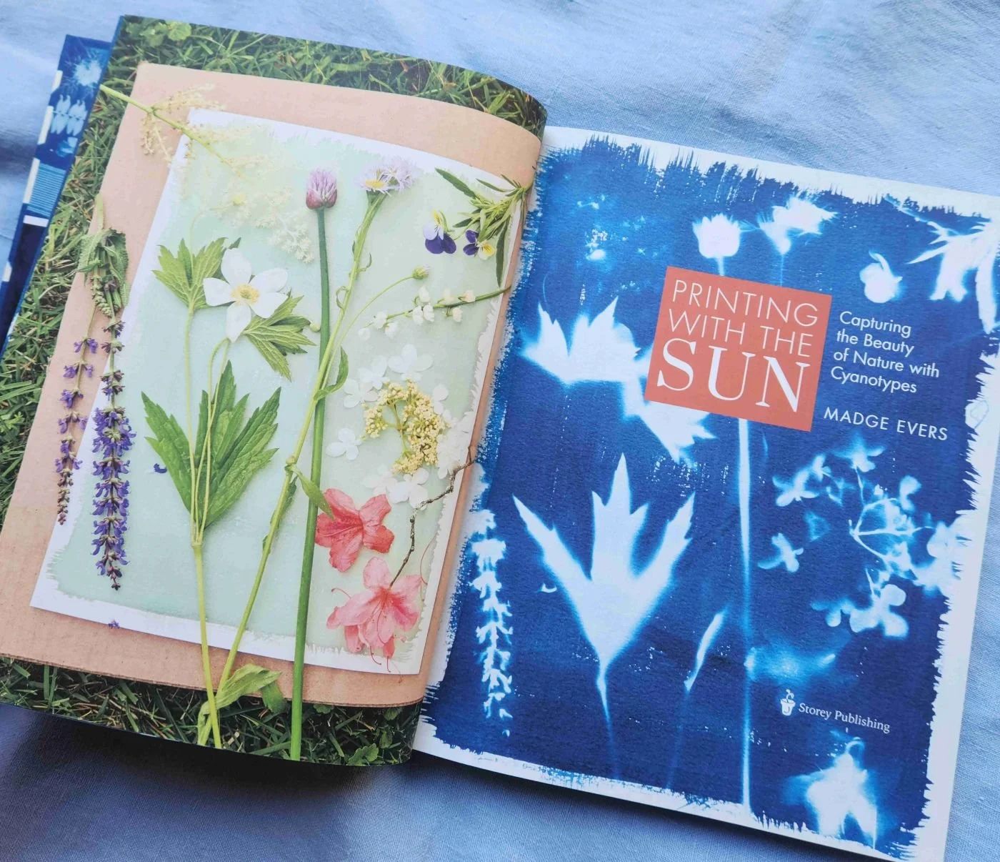 Book Talk and Bookmark-Making