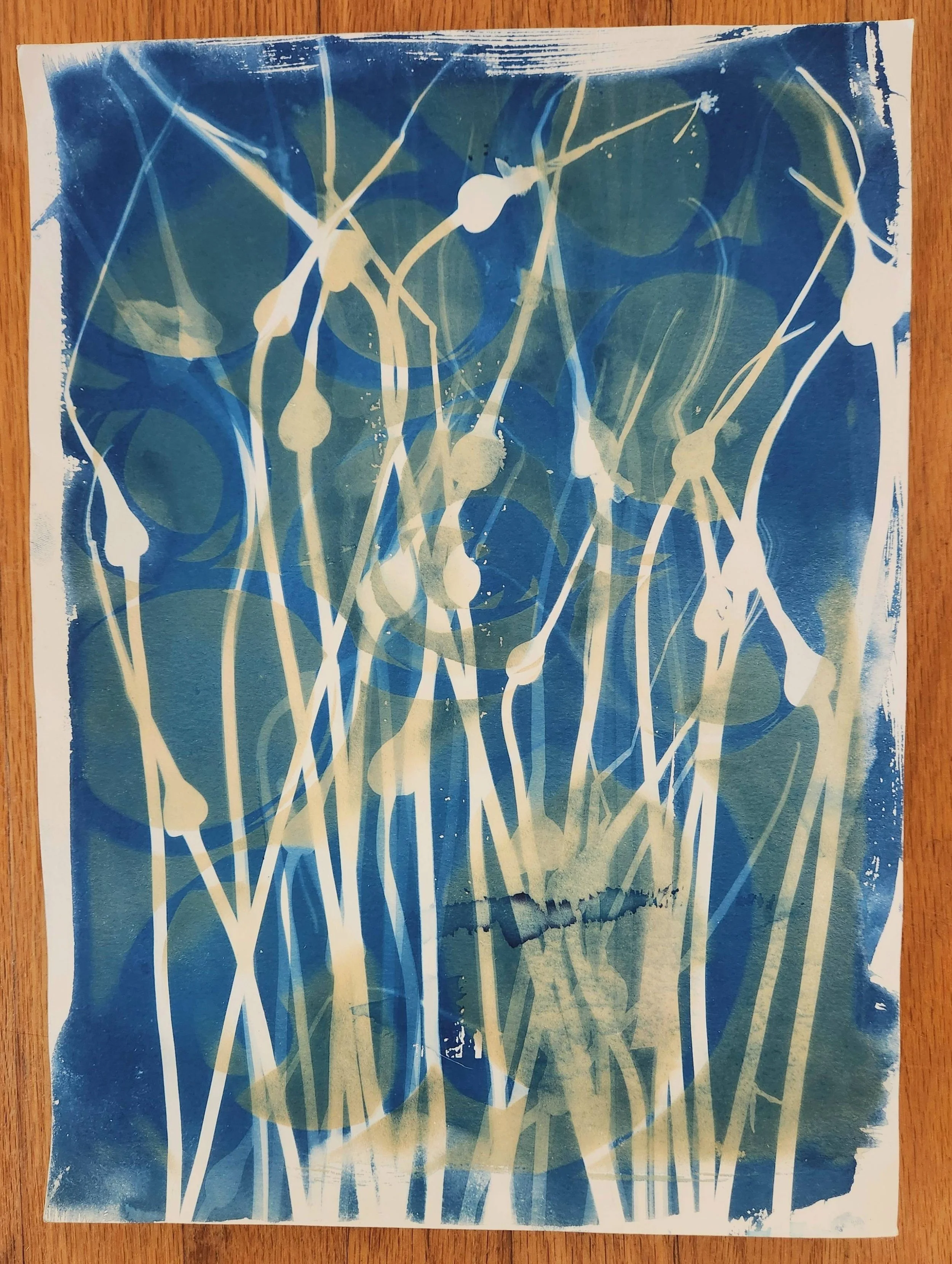 Shape Shifting Scapes no frame.jpeg