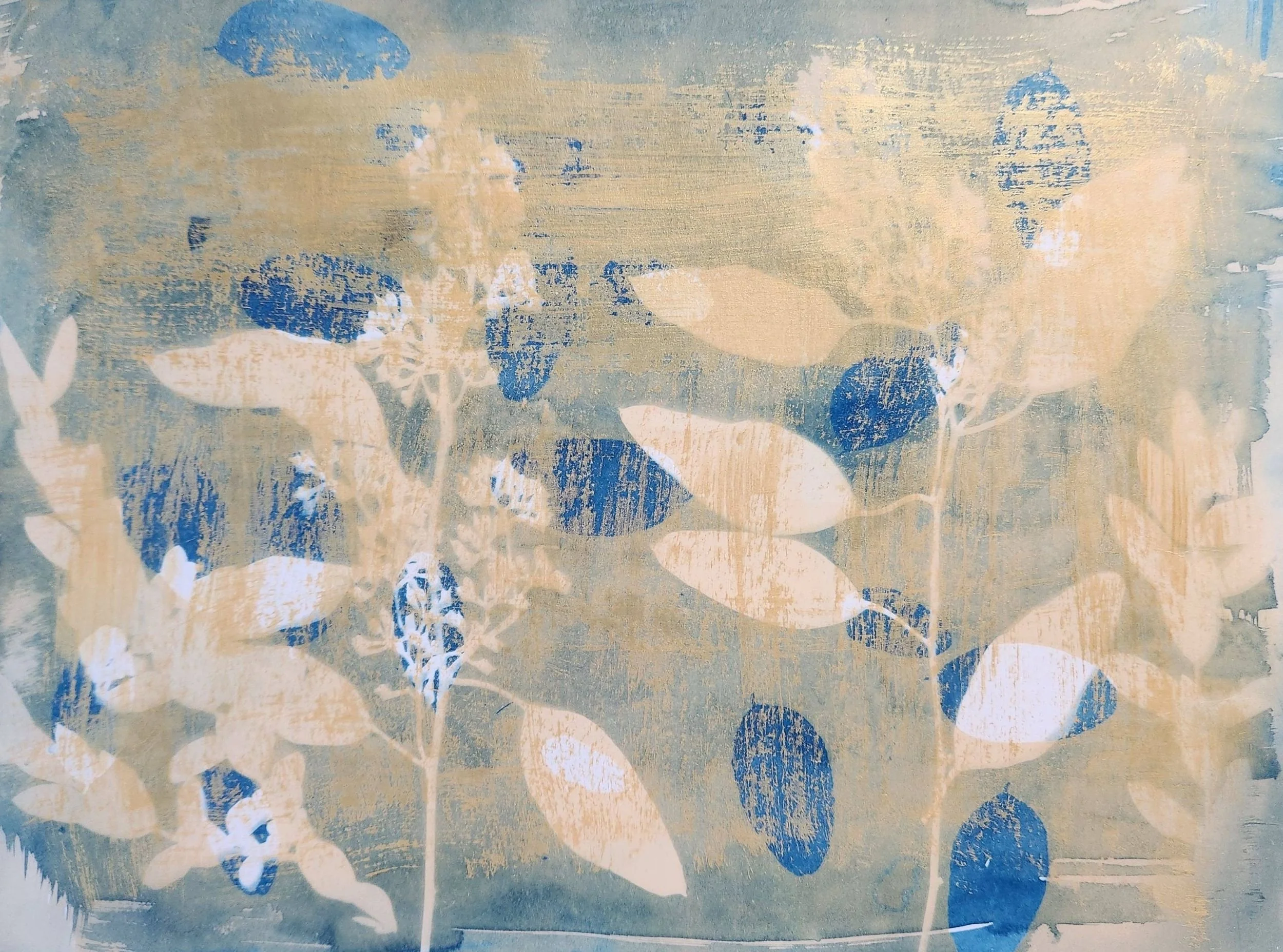 Shape Shifting Eucalyptus 2.jpg