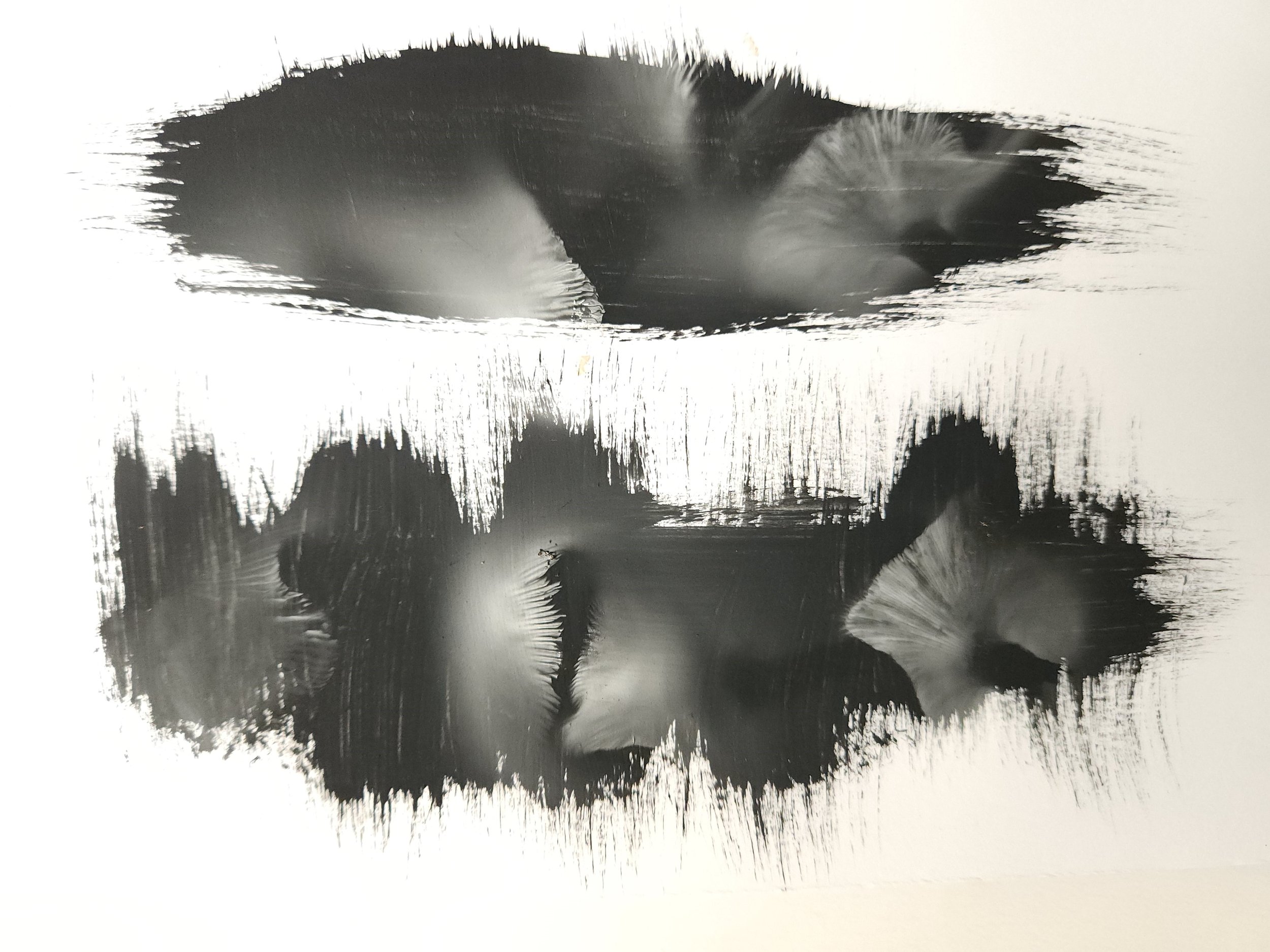 Evers_spore print_6x9inches_fall24.1.jpg