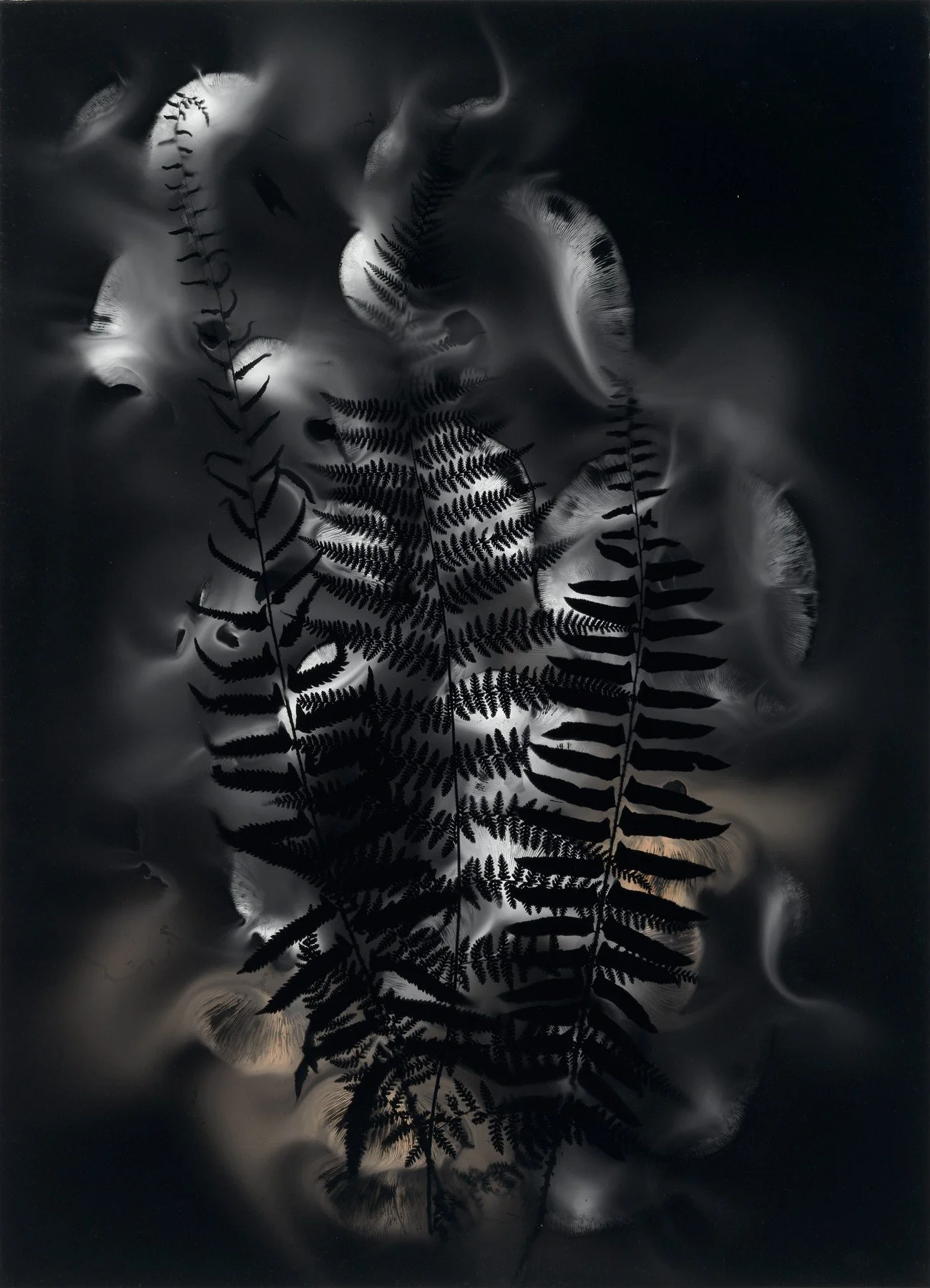 Evers_Madge_Chautauqua Herbarium_mushroom spores on paper_2024_20 x 28inches.jpg