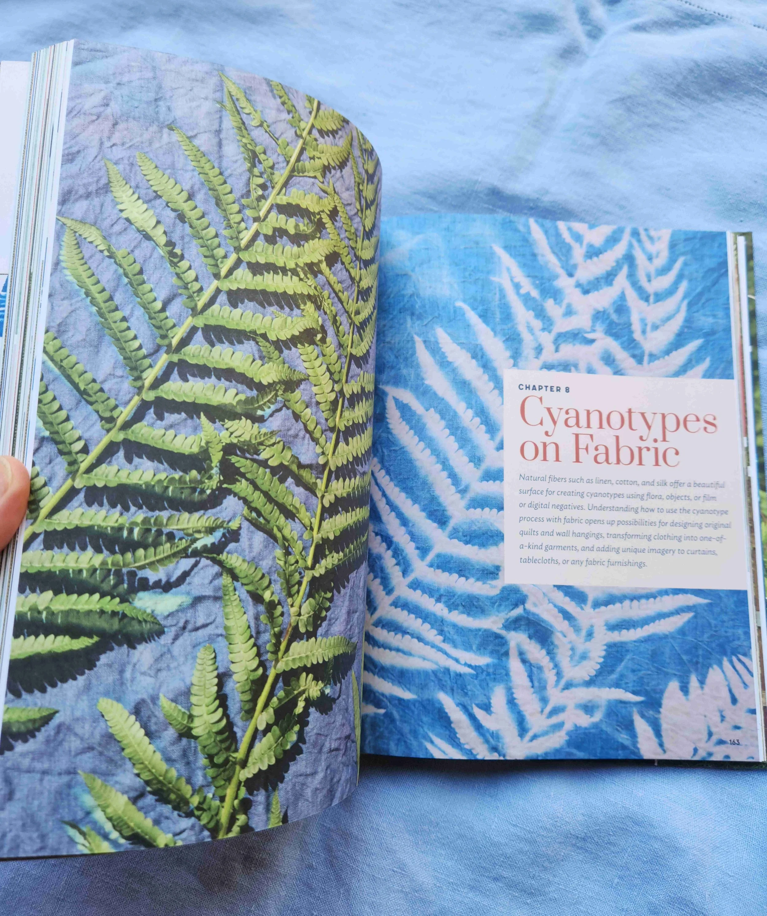 Open book with images of fern leaves, chapter titled "Cyanotypes on Fabric."