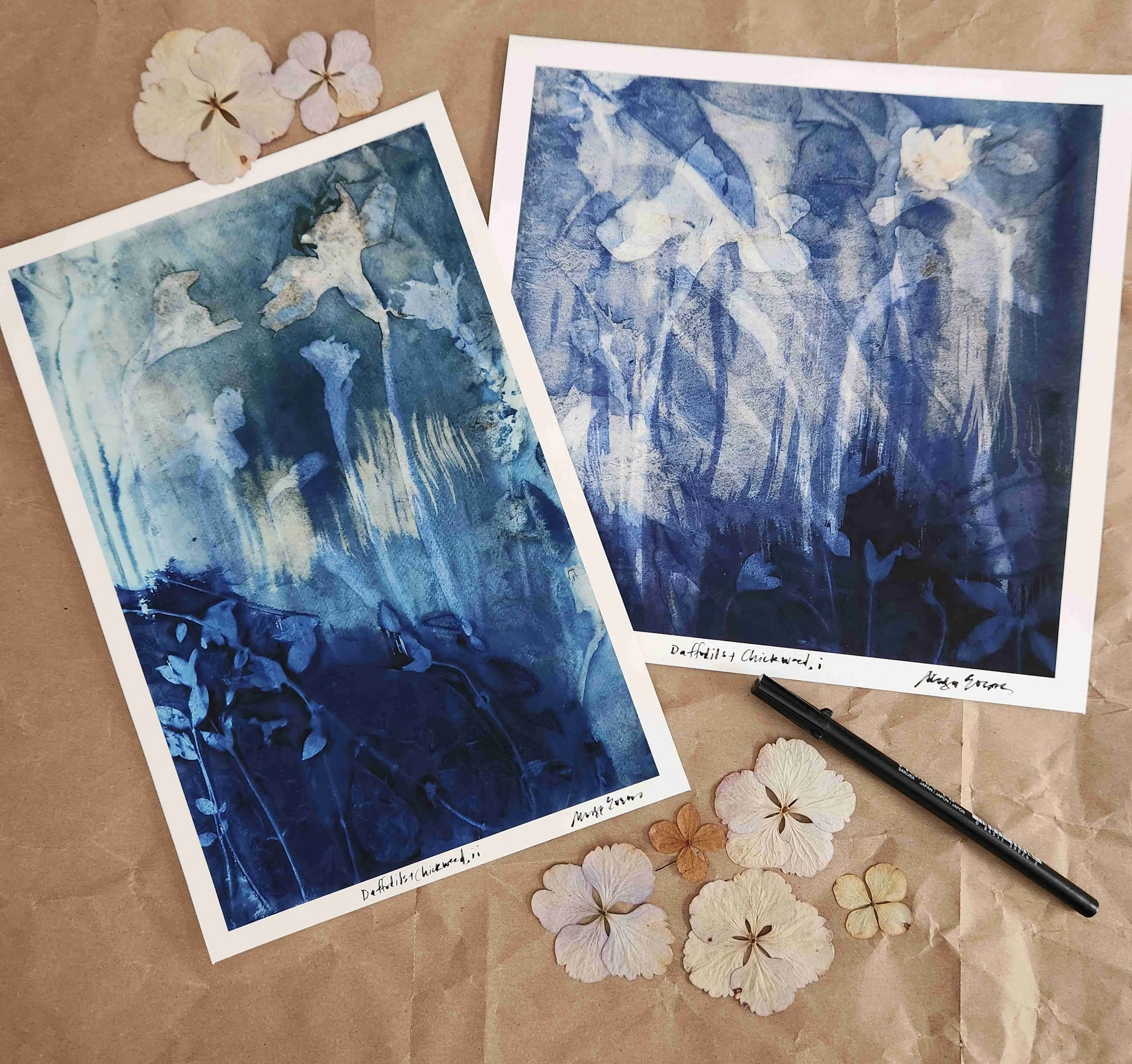 fine art print sale Jan pic 1.jpeg