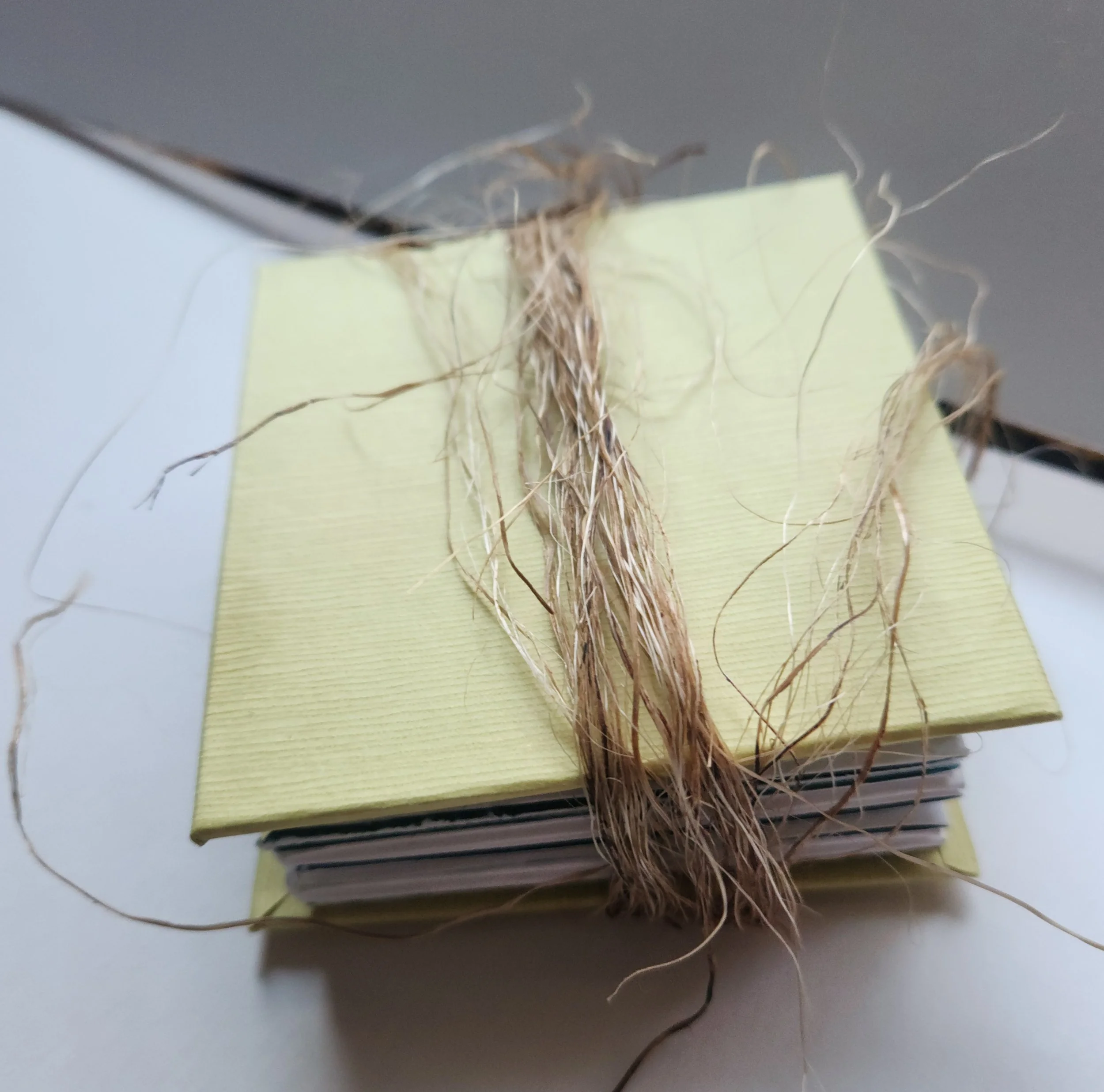 Evers Skellig Grass Book cover.jpg