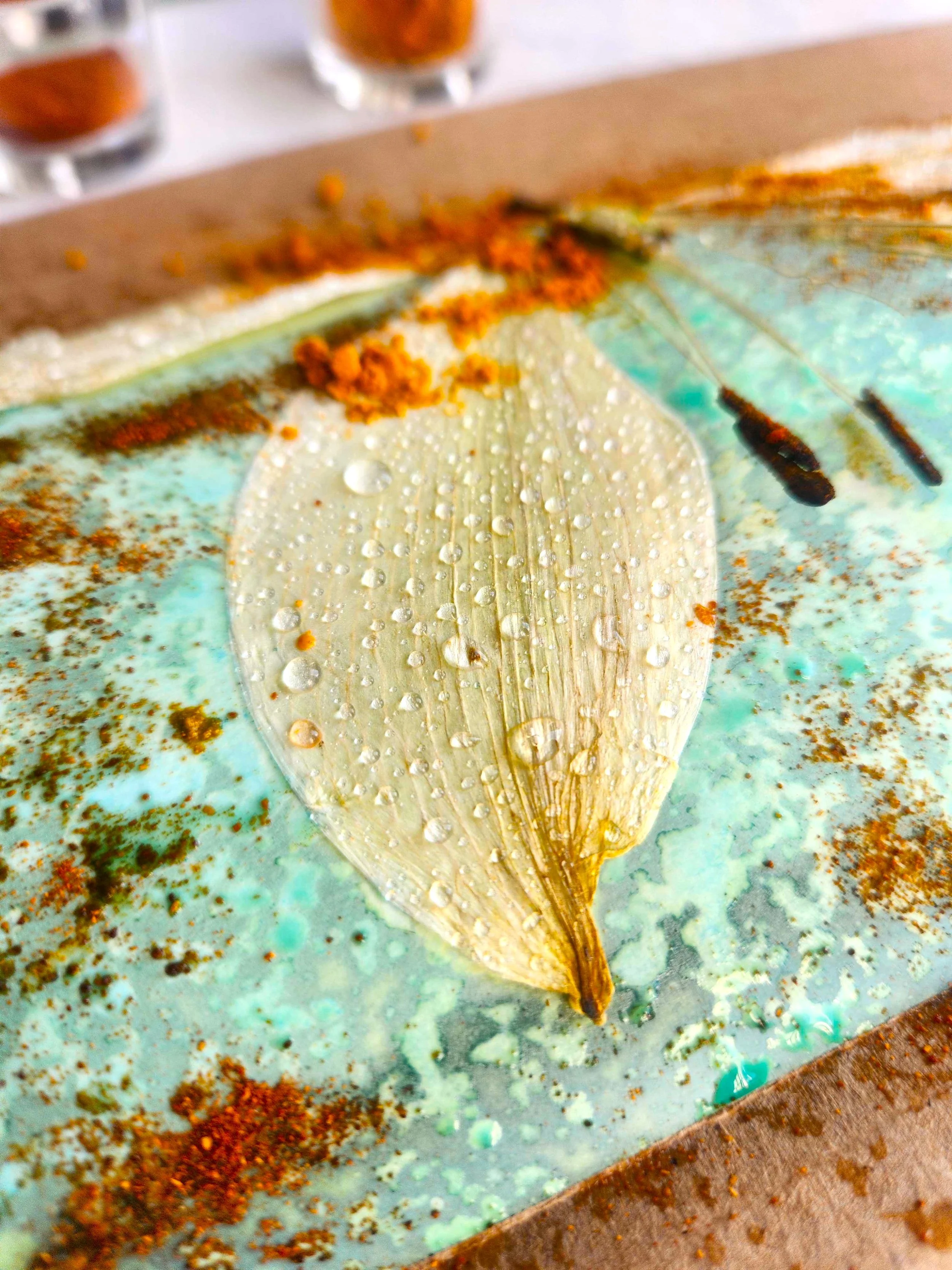 photo shoot 1.c.jpeg