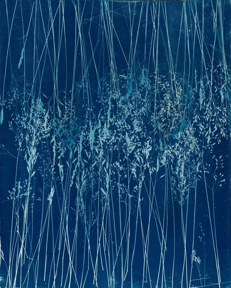©Madge Evers.Winds of the Western Bay,ii.16x20inches.cyanotype.MTL.jpg