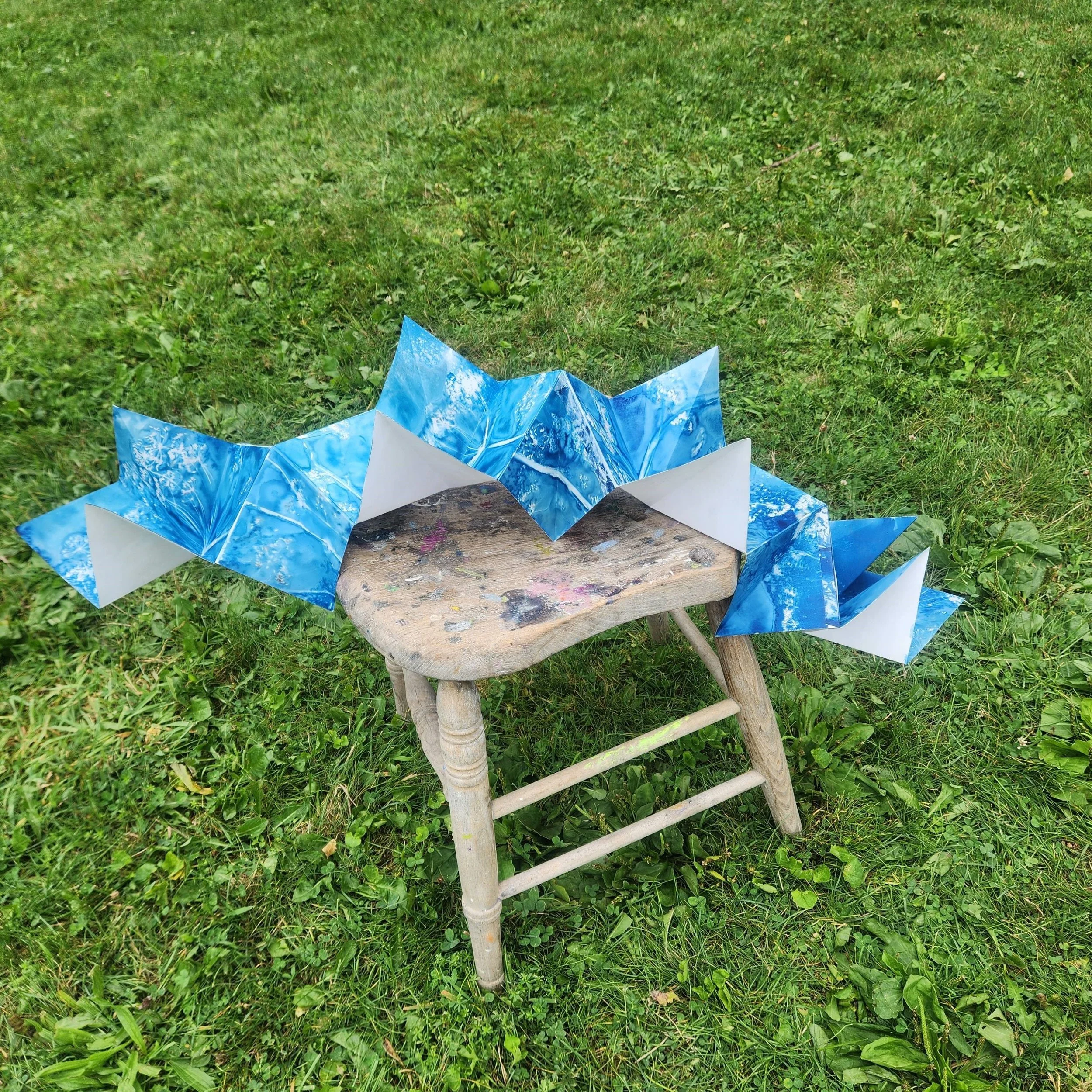 Evers.dragon book.in process.Anethum.2024.jpeg