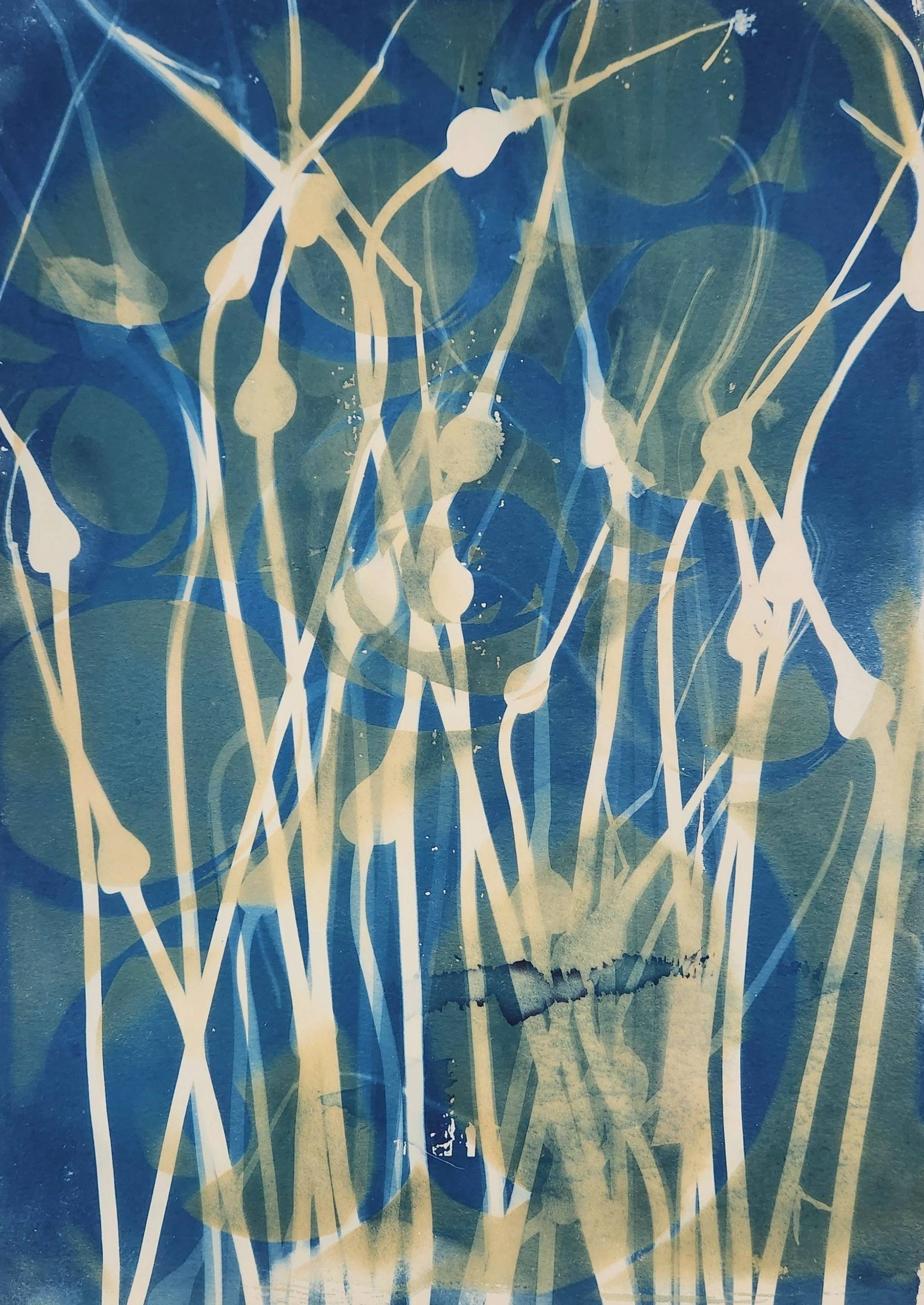 Shape Shifting Scapes no frame v2.jpeg