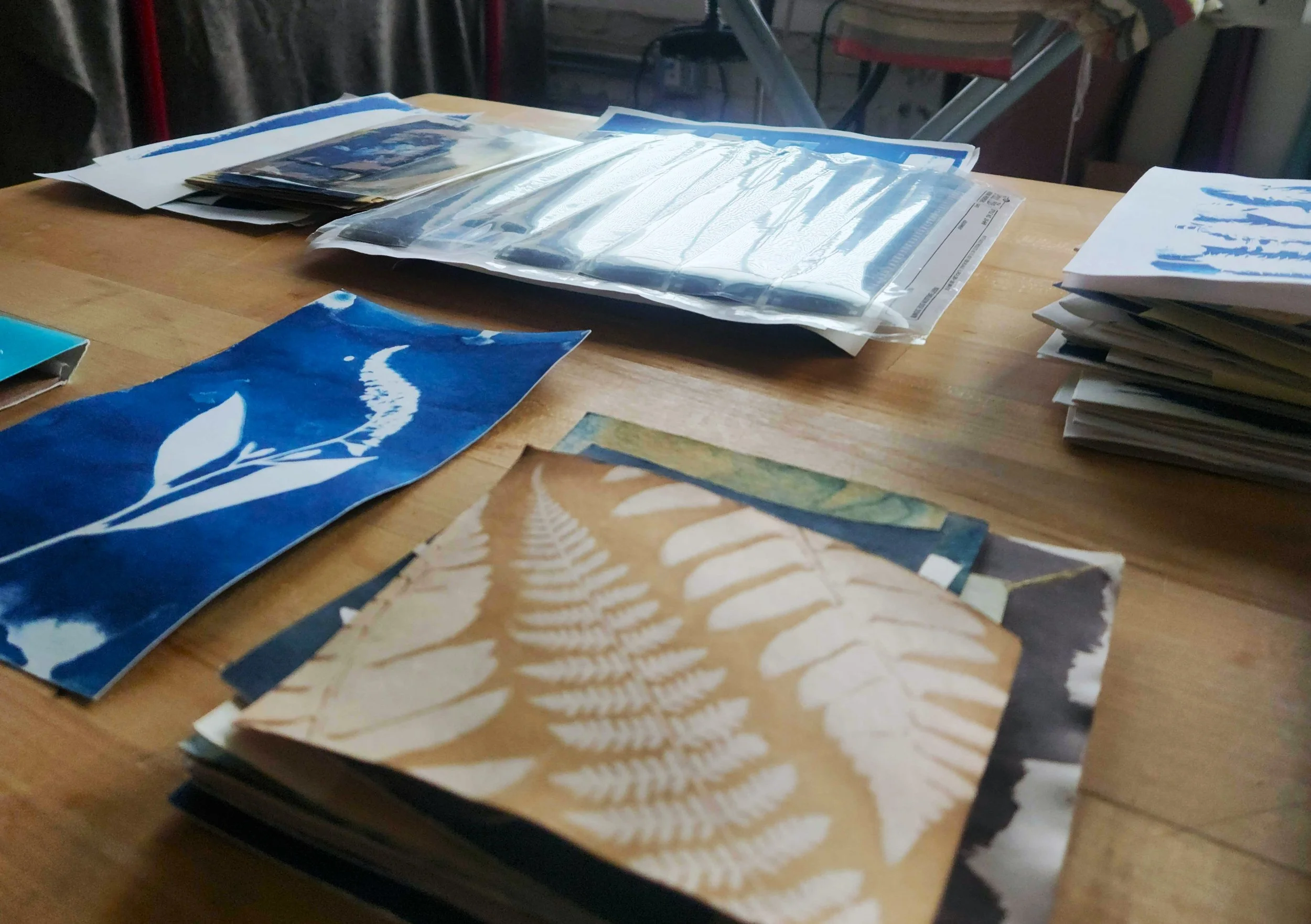 photo shoot 1.a.jpeg