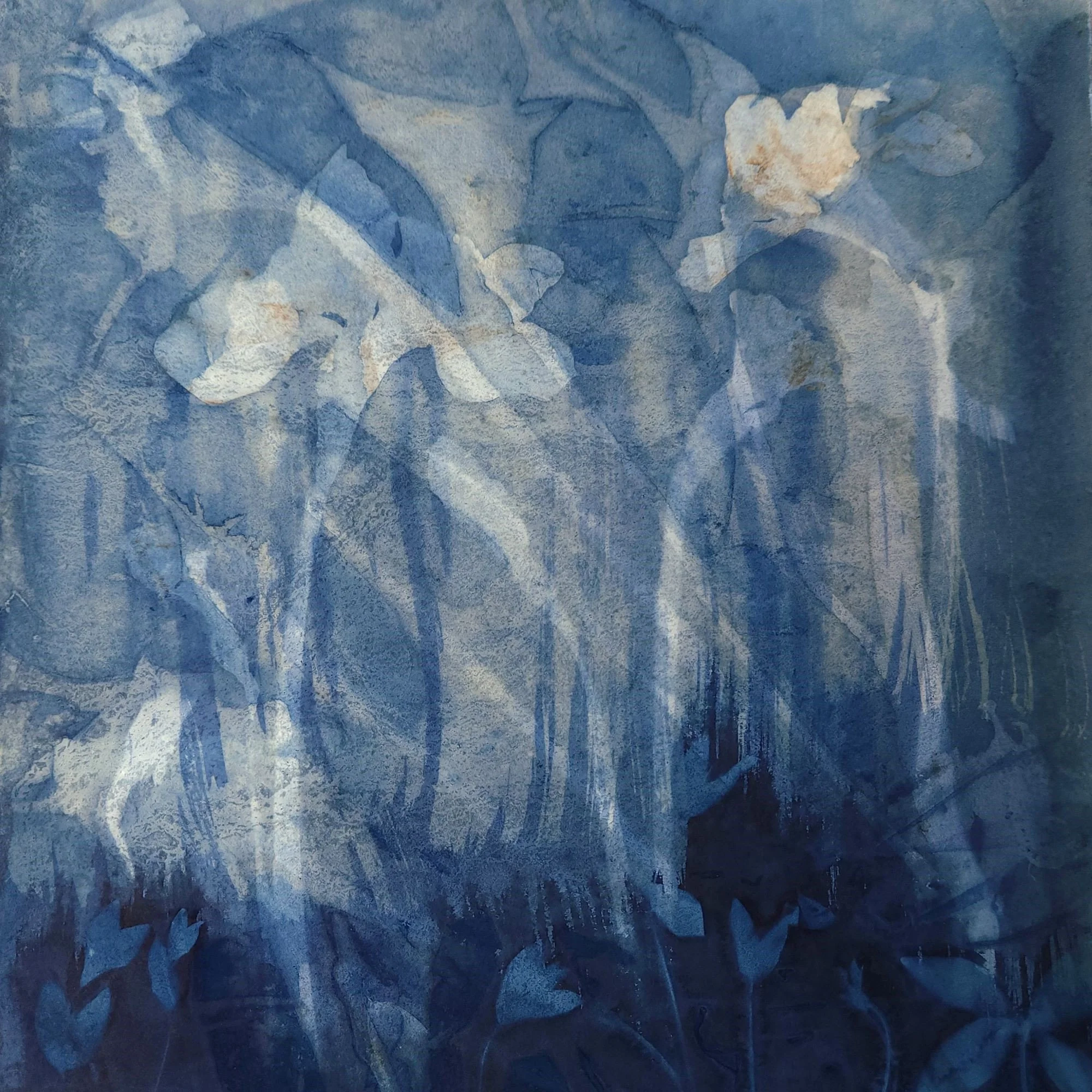 Evers_Tulip and Chickweed II.cropped square.jpg