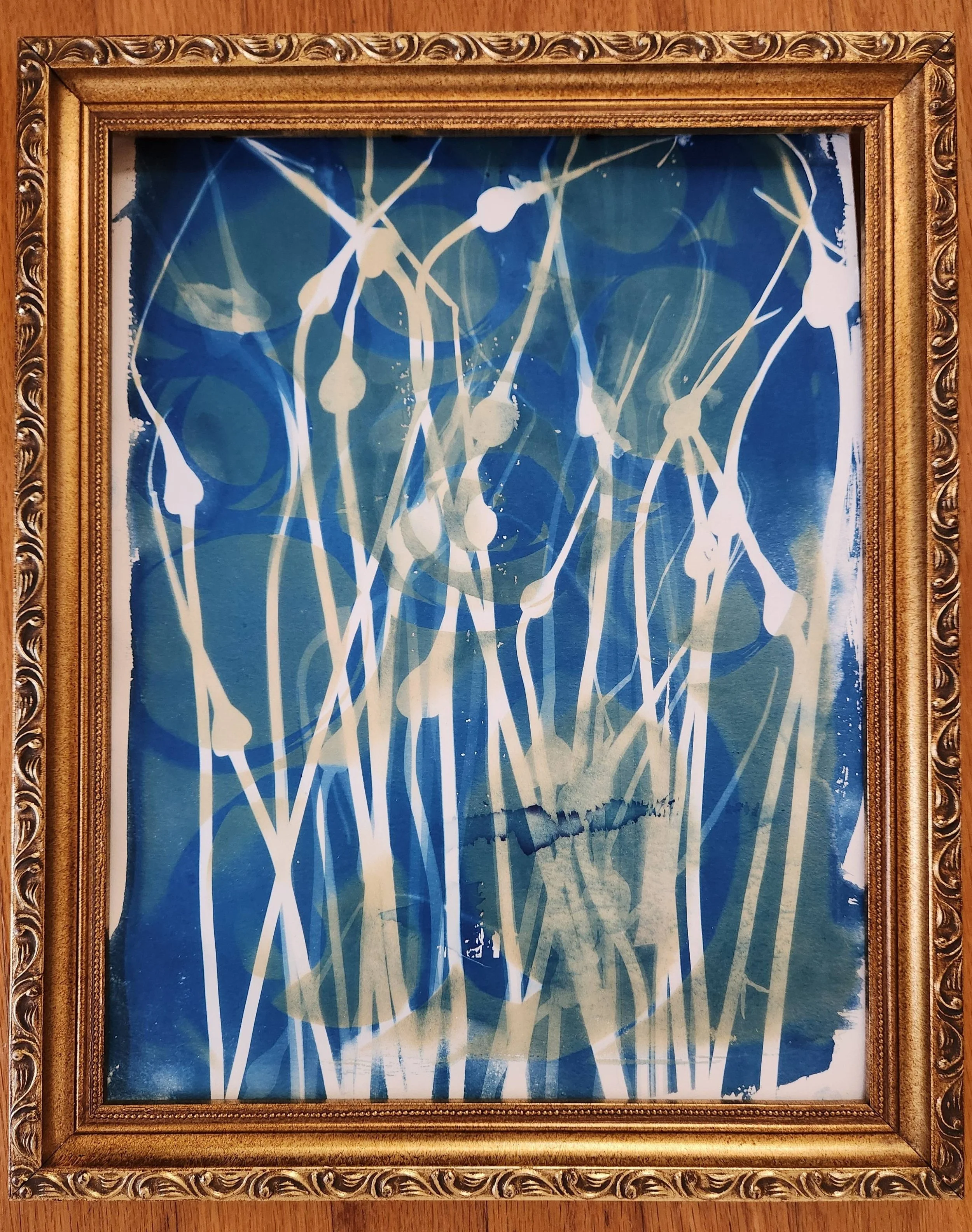 Shape Shifting Scapes.jpeg