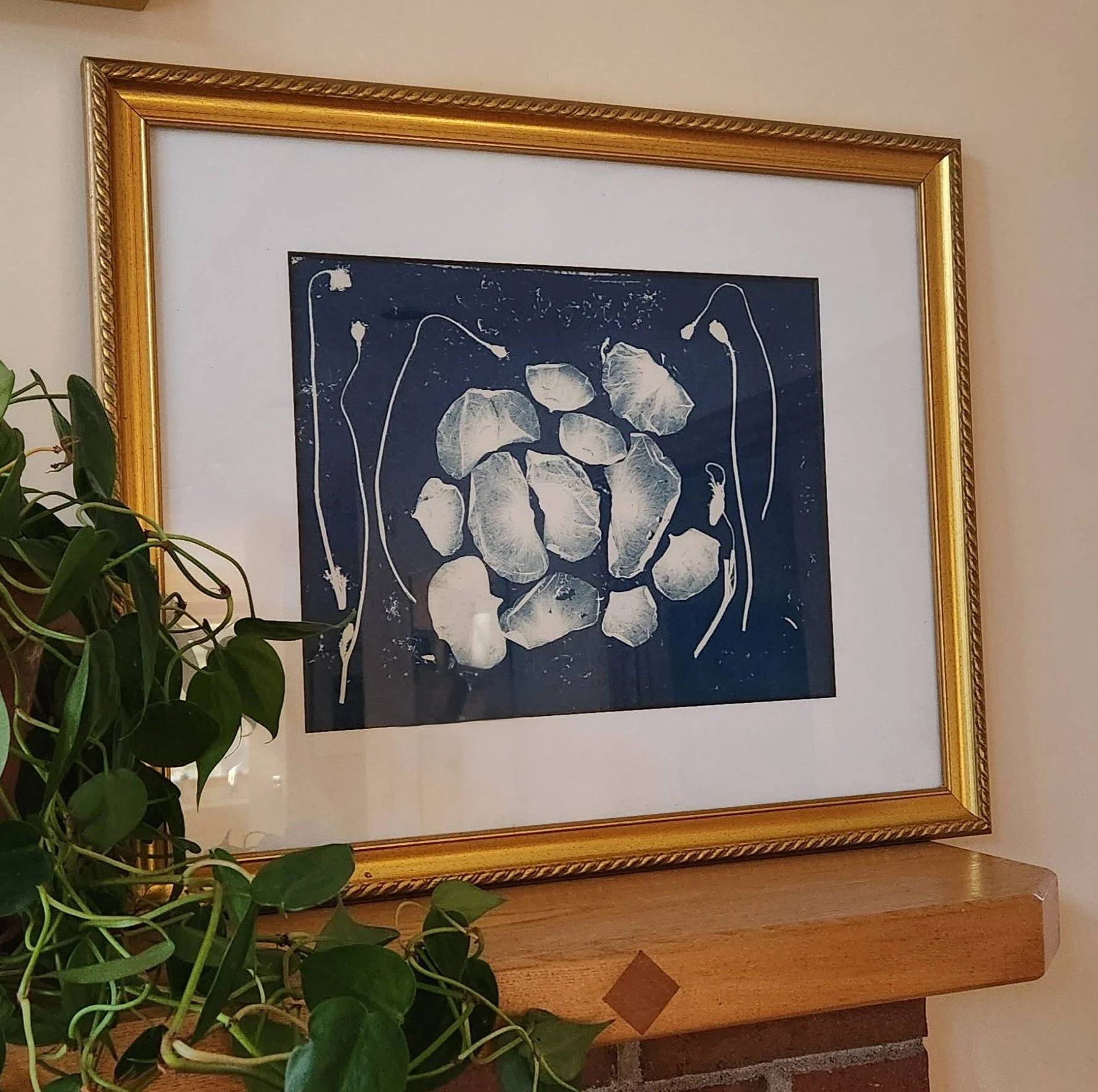 Shape Shifting Poppy v2.jpeg