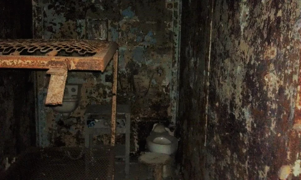 Inside one of the cells