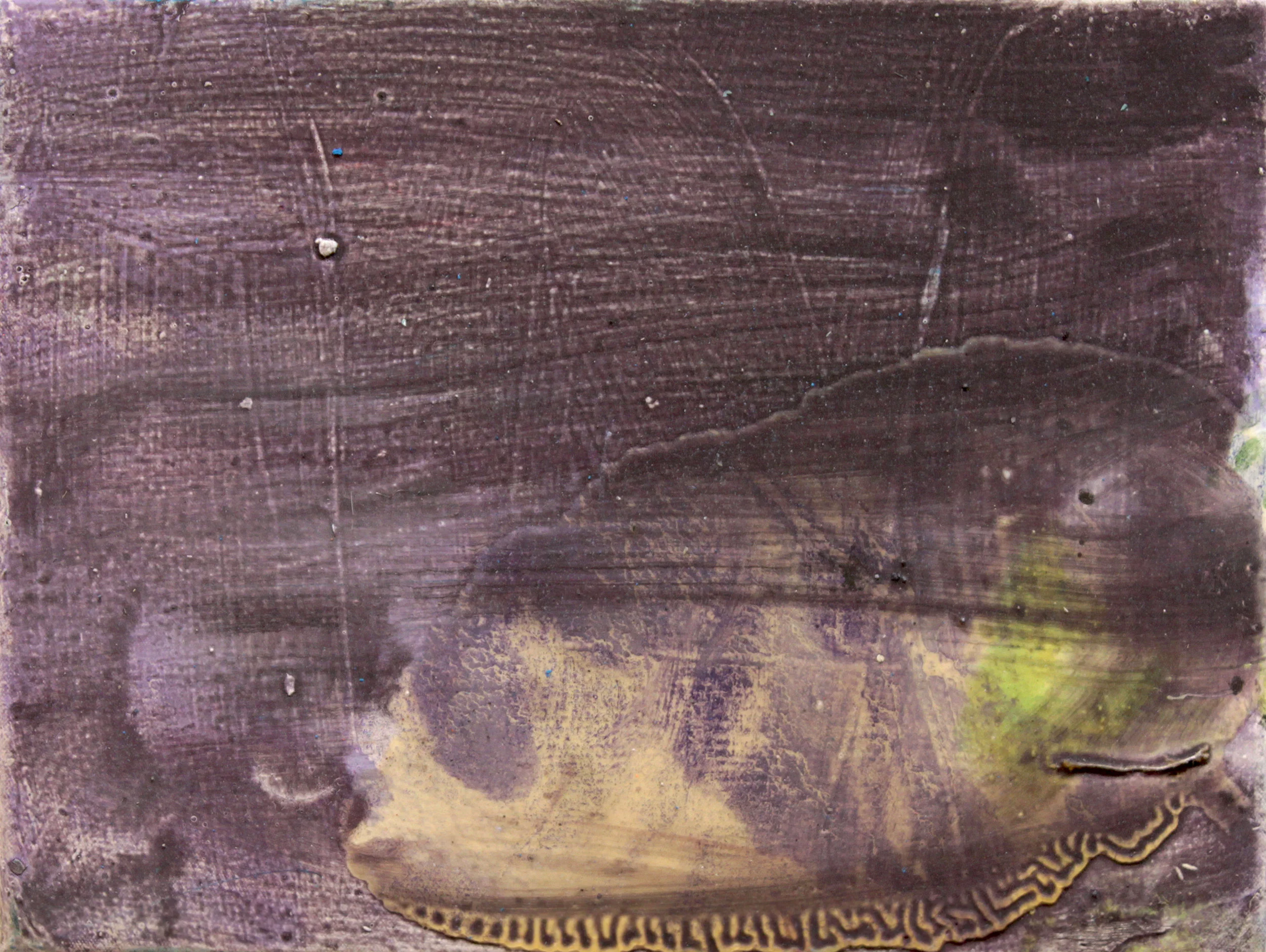 Iggy . Oil on canvas. 12" x 15". 2014. 