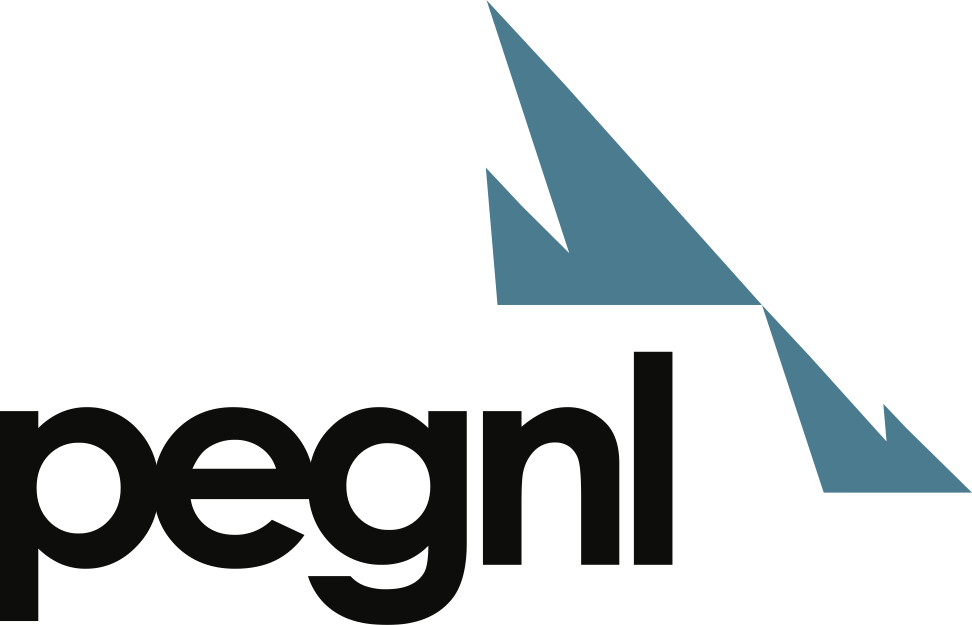 Silver Sponsor