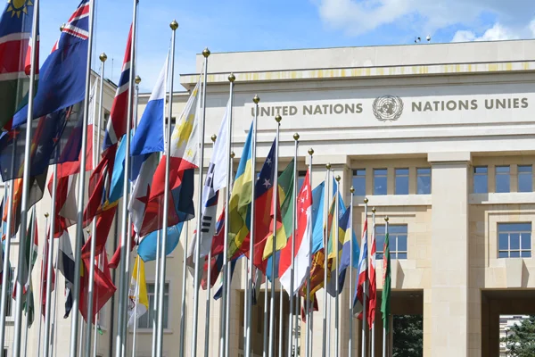 UN must protect human rights experts from threats of violence