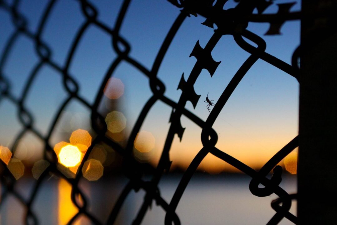 Federal Government must act urgently to avoid COVID-19 catastrophe in immigration detention