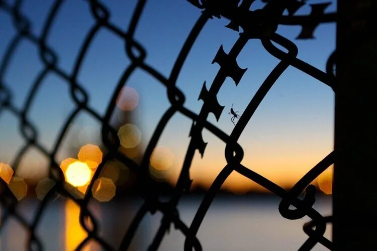 Expanded border force powers desperate distraction from government’s inhumane immigration detention