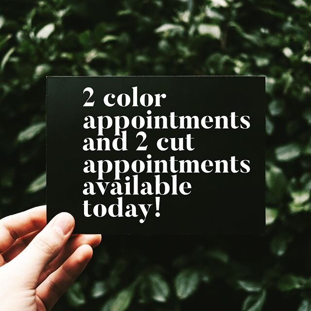 Call now to book one of these last minute openings with @lvp32 &bull;910-799-3207&bull;
#seagrasssalonspa #highlights #haircut #menscut #devacut #wellahair @wella