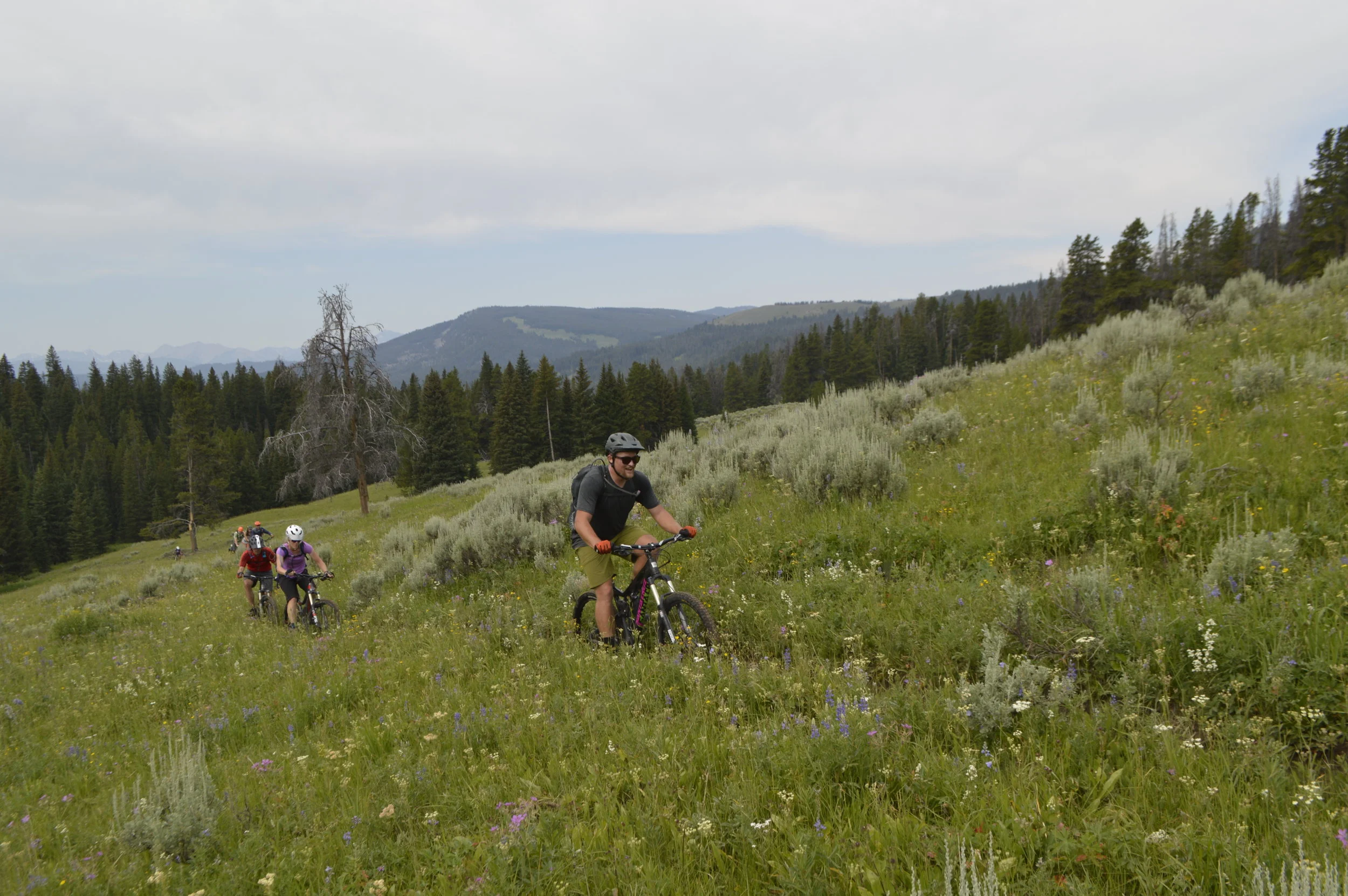 Southwest Singletrack: SWMMBA Moves to FREE Membership
