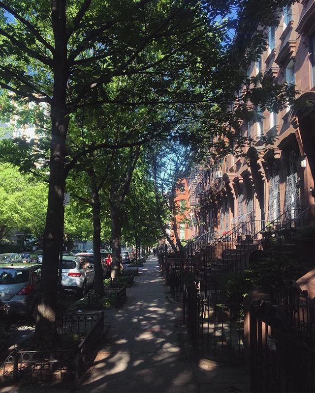 Feels good to be back, Brooklyn 🇺🇸 05.2018
.
.
.
#fineskylarkinflight #travel #adventureanywhere #instatravel #postcardsfromtheworld #traveltheworld #igtravel #travelpics #worldlyhumans #explore #shareyourworld #brooklyn #newyork #brownstone