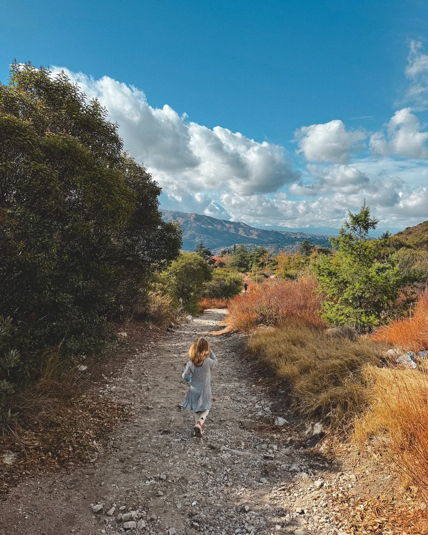 After taking a much needed social media hiatus, I would like to end the year on a positive note and embrace what lies ahead. The world disappointed me in 2024. I found it very hard to focus on the good these last couple months. However, I feel so gra