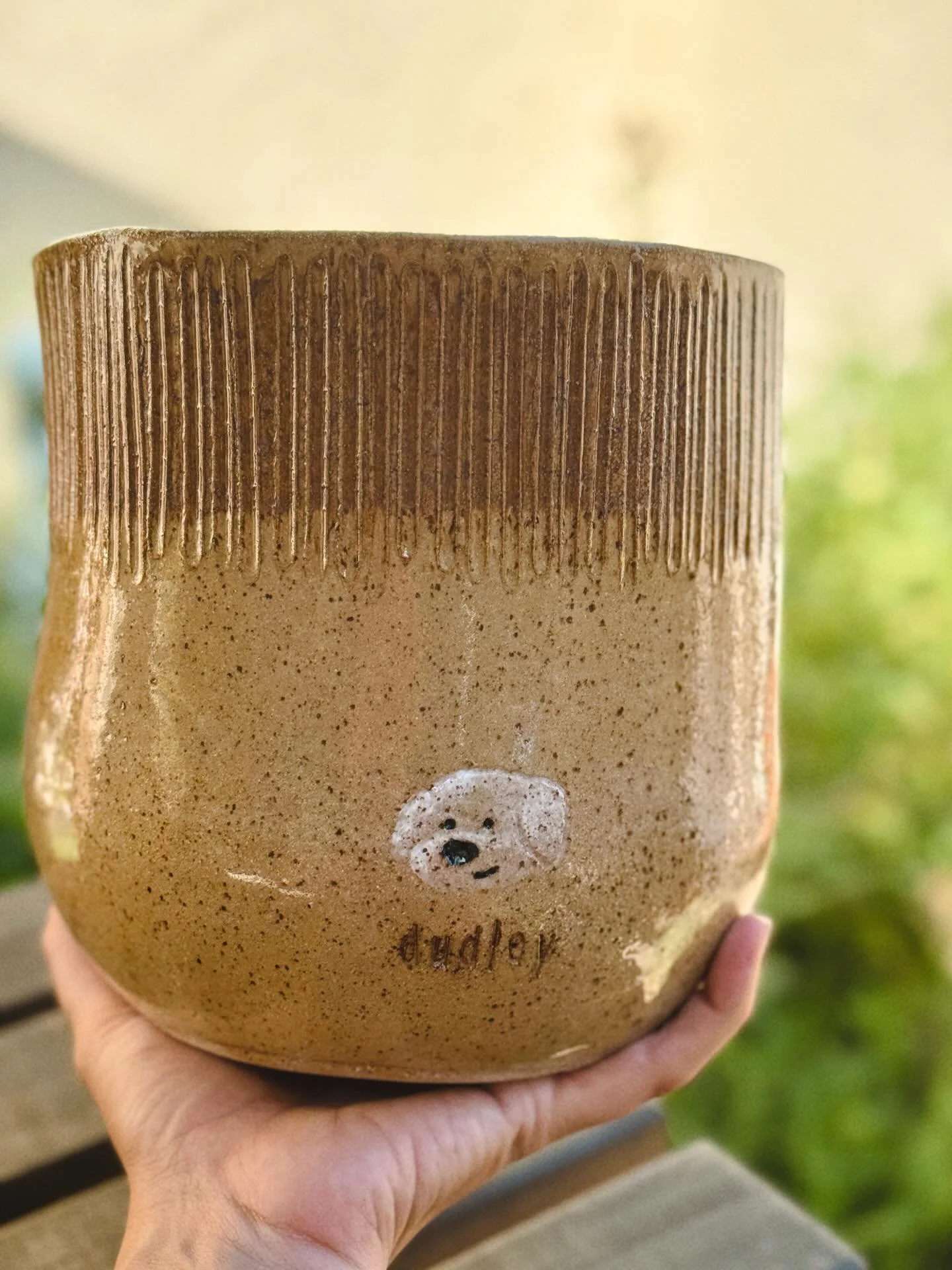 A Dudleya for Dudley. RIP 🕊️ 
illustration by my talented husband
.
Dudleya viscida - Sticky Live Forever 🤍
@mami_natives 
.
#handbuiltceramics #planter #dudleya #handmade #petlove