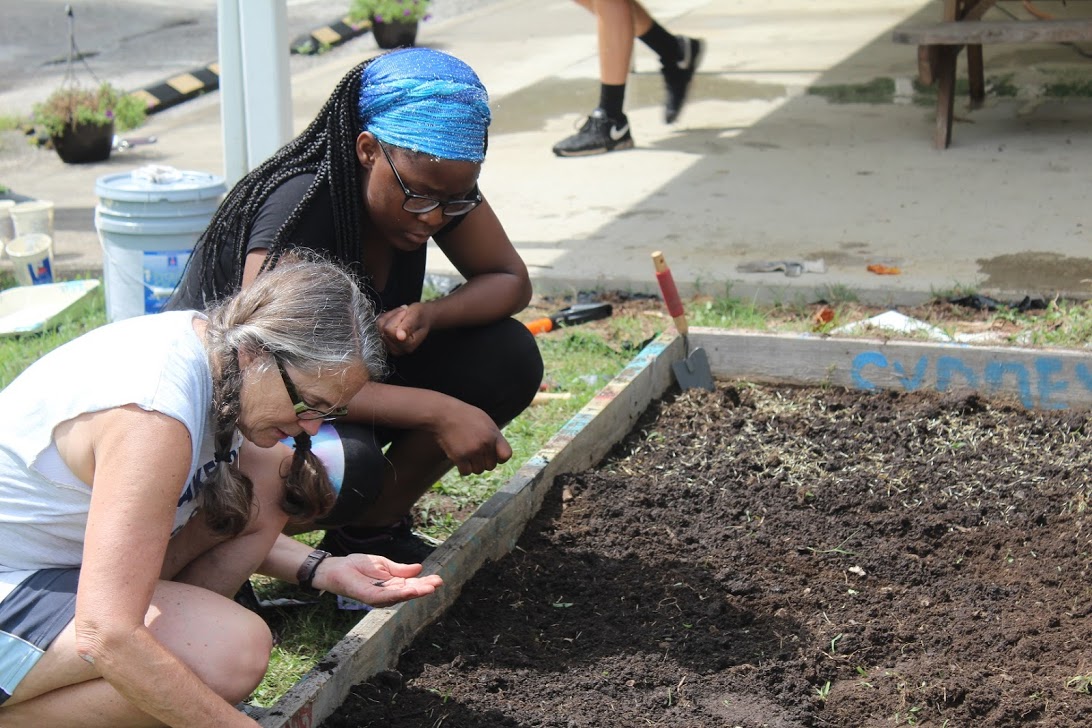 Planting the love between our brothers and our sisters