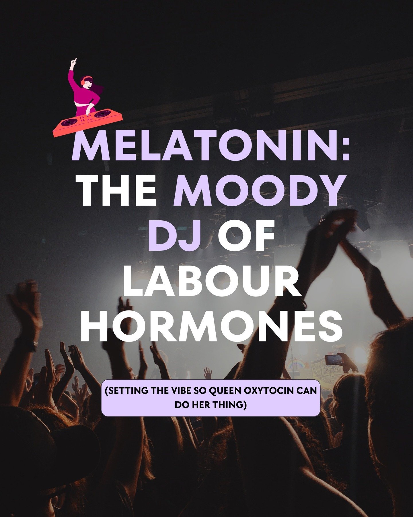 You better believe I made a whole series out of this after Queen Oxytocin...

Melatonin: the moody DJ your uterus didn&rsquo;t know it needed.

While Queen Oxytocin gets all the fame, melatonin is behind the decks setting the birth vibe.
No lights? N
