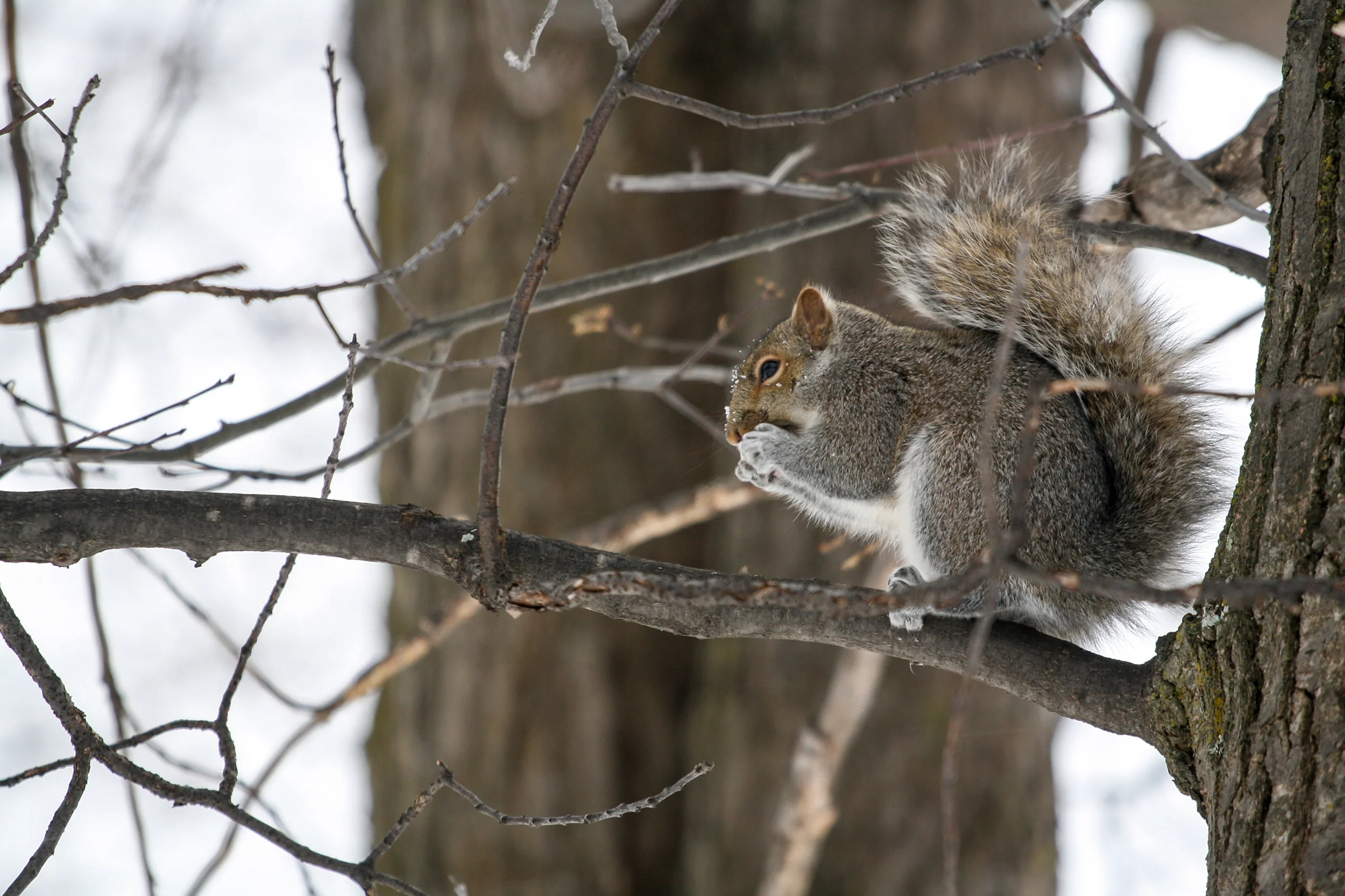 Snow Adventure-22_web.jpg
