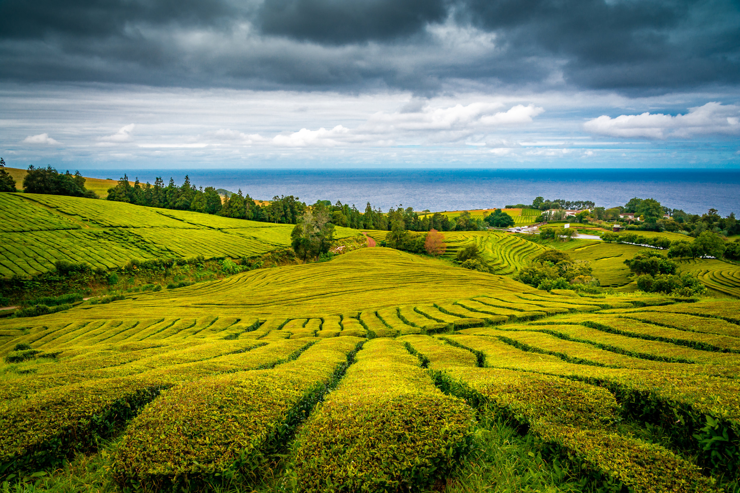 AdobeStock_175220690.jpeg