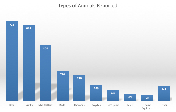 What types of animals do people report as visitors? 723 deer, 693 skunks, 509 rabbits/hares, 276 birds, 240 raccoons, 149 coyotes, 101 porcupines, 69 mice, 60 ground squirrels, and 141 other urban dwelling wild animals. 