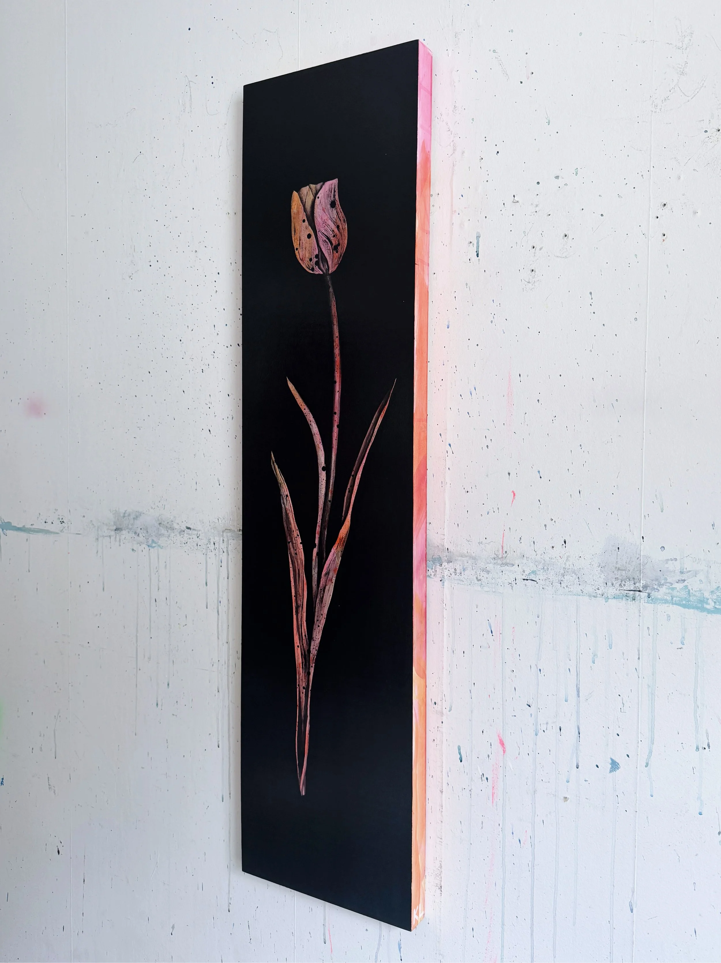 FullSizeRender_VSCO 12.JPG