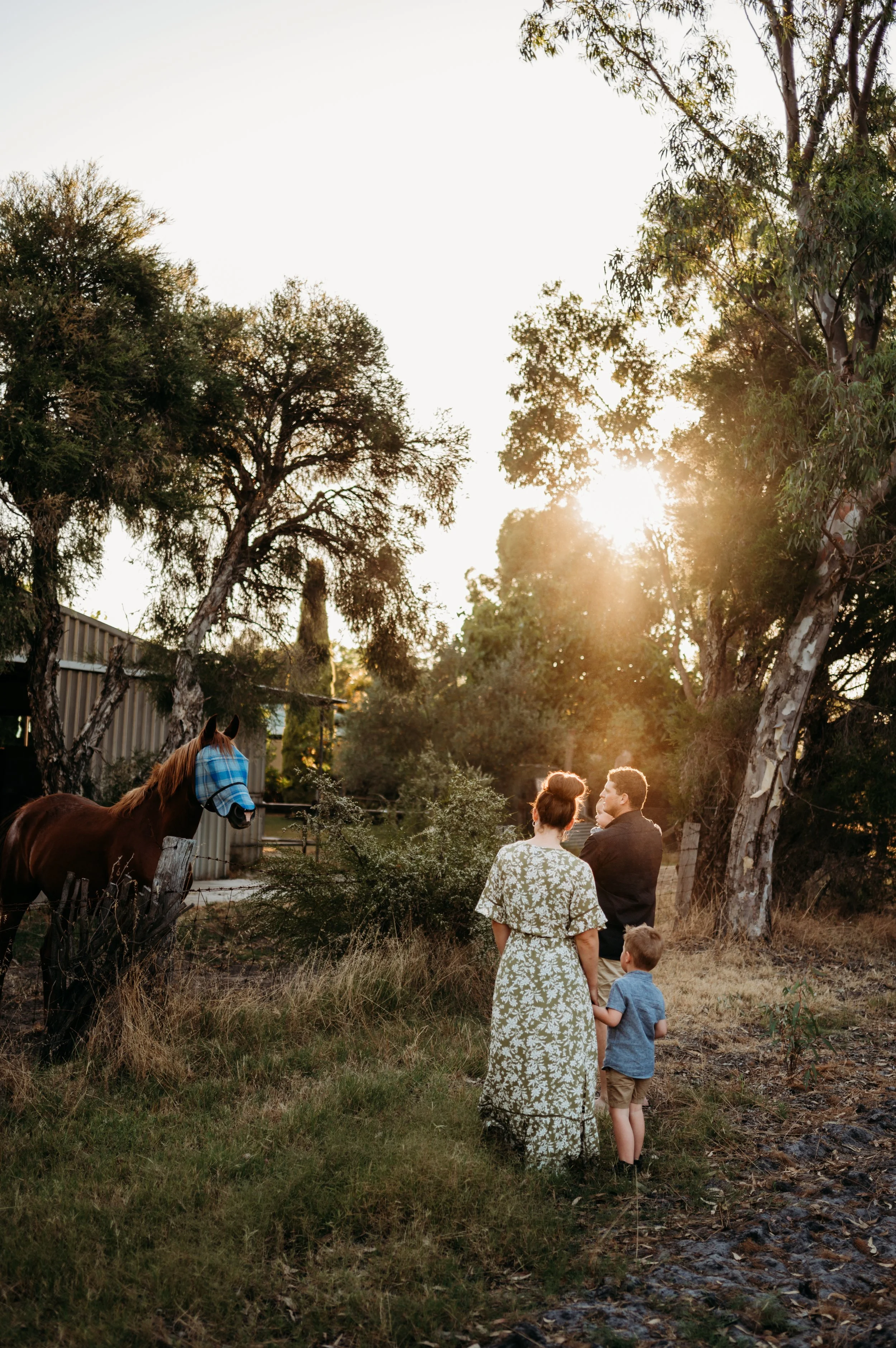 20120102 Claire + Jon Family Paddock-4.jpg