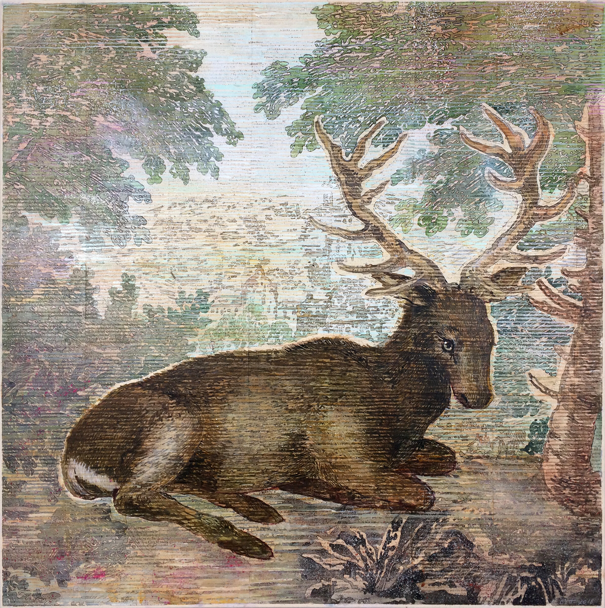 Durer's Deer, 2018
