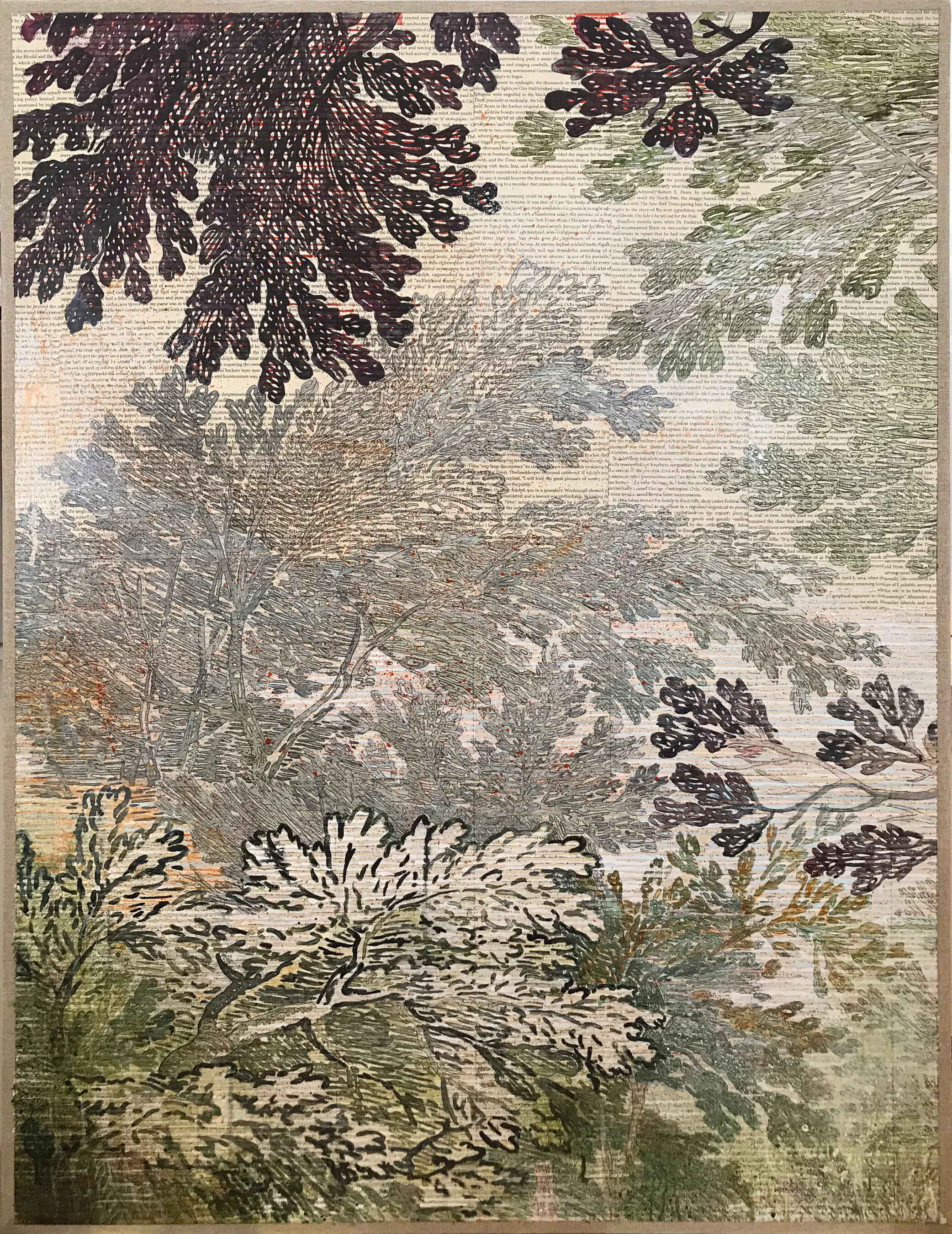 The Trust Trees, 2019